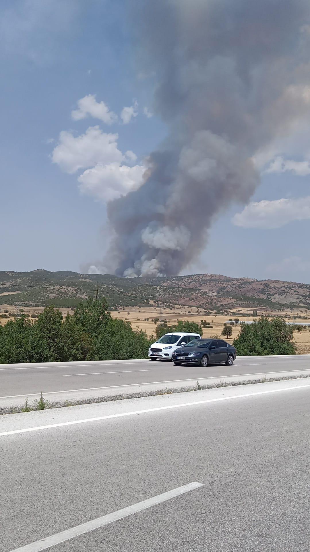 Burdur Tefennide orman yangını