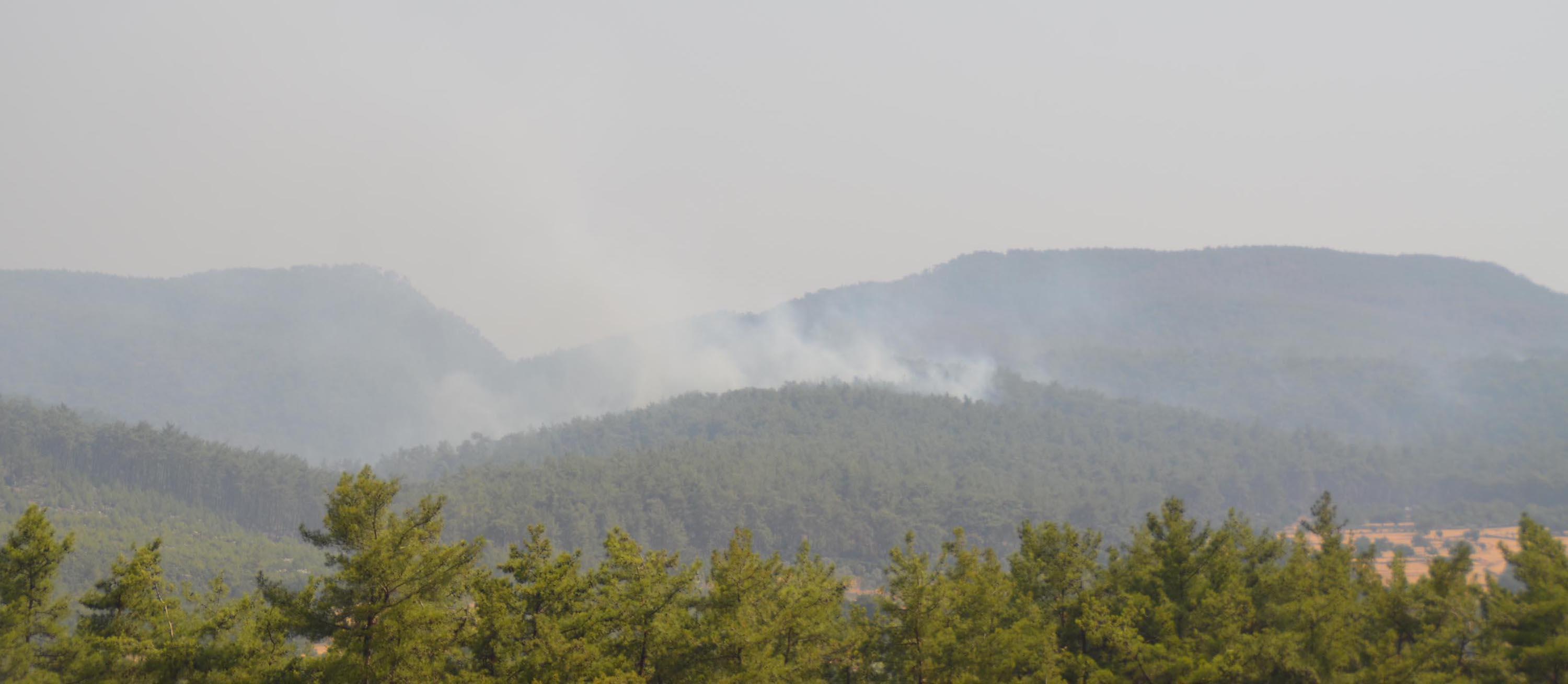 Milasta yangın 8inci gününde; havadan müdahale yoğunlaştı