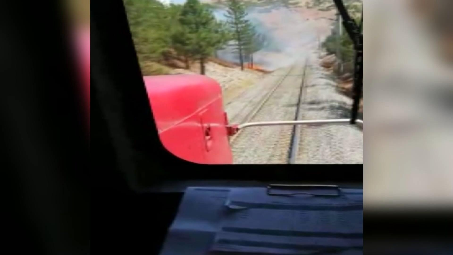 Train driver stopped the train and put out the wildfire