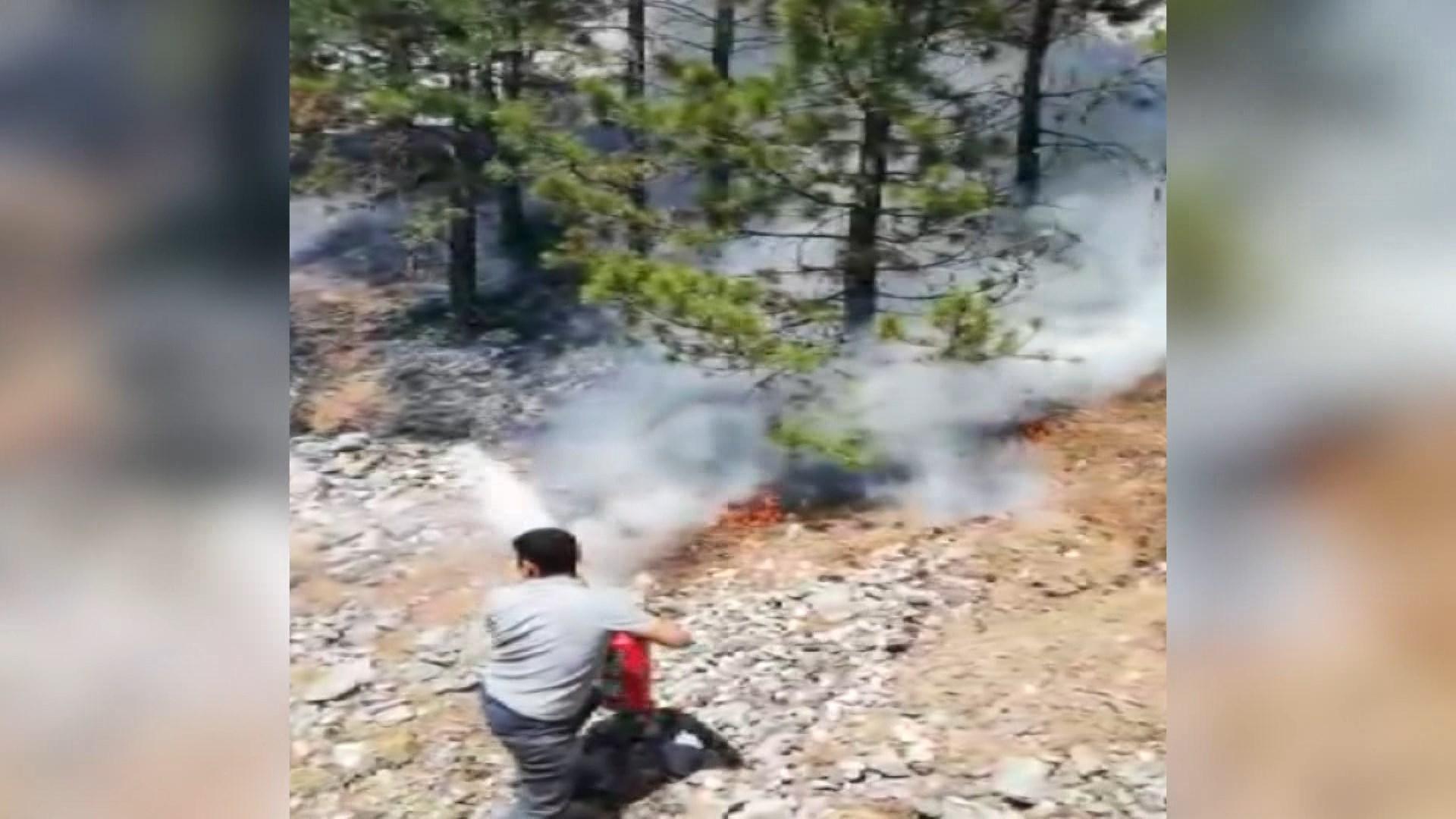 Train driver stopped the train and put out the wildfire