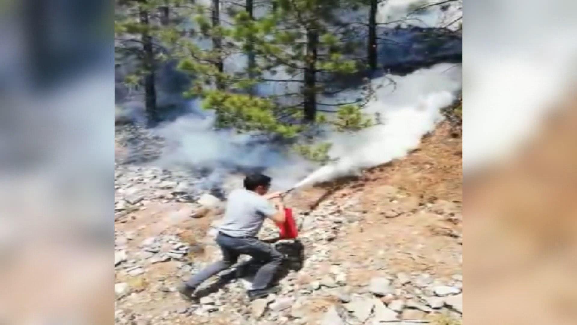 Train driver stopped the train and put out the wildfire