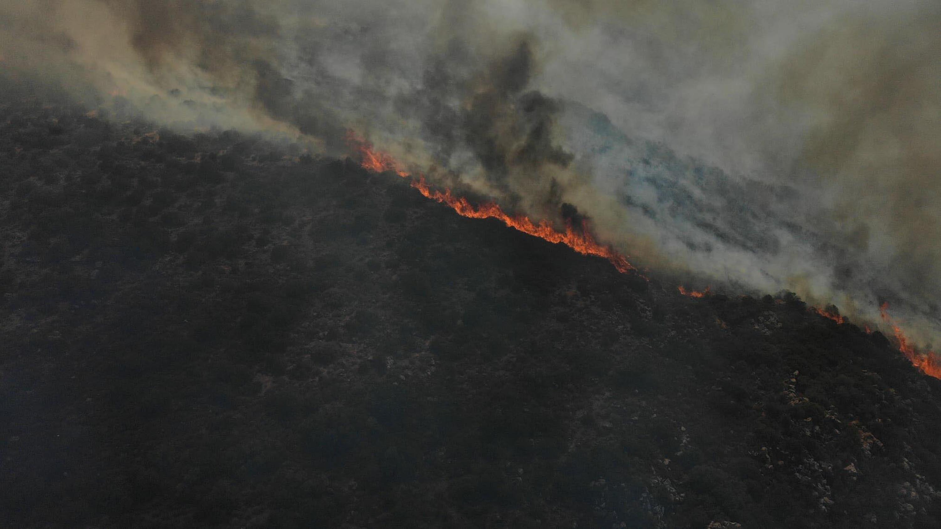 Urlada makilik ve bozuk orman alanında yangın