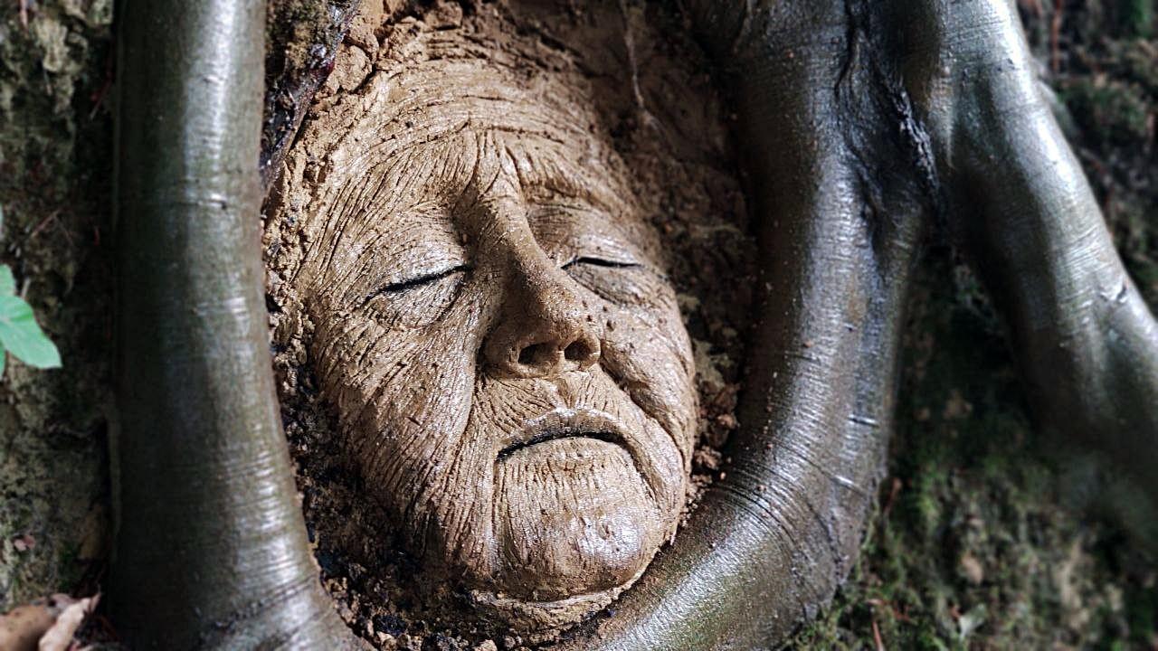 Ağaç köklerine heykel yaptı, Tarihi eser değil, heyecanlanmayın yazısı astı