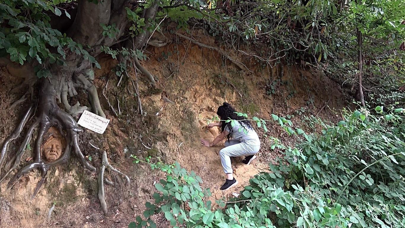 Ağaç köklerine heykel yaptı, Tarihi eser değil, heyecanlanmayın yazısı astı