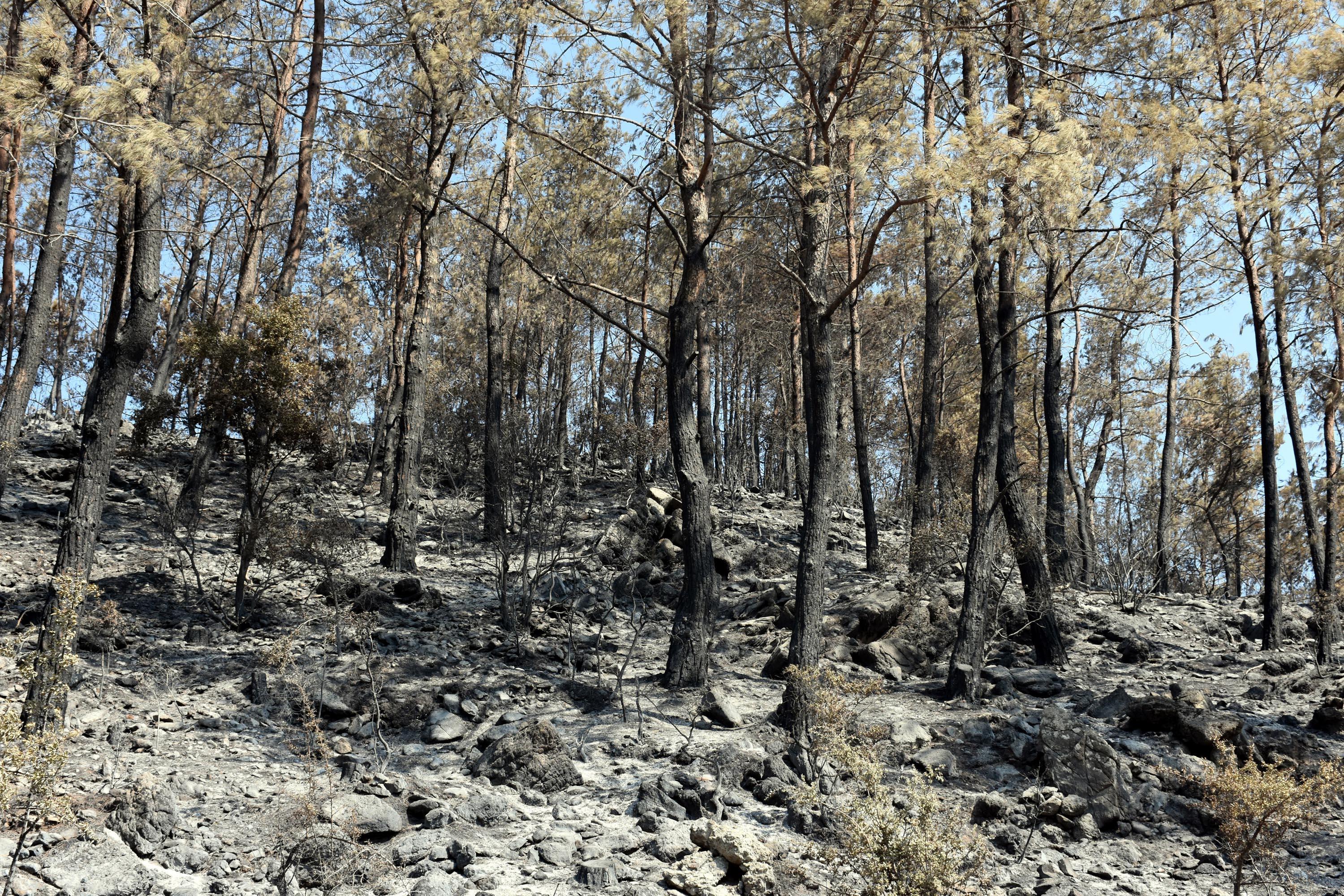 Marmariste 9 gün süren yangın kontrol altında, soğutma çalışması sürüyor