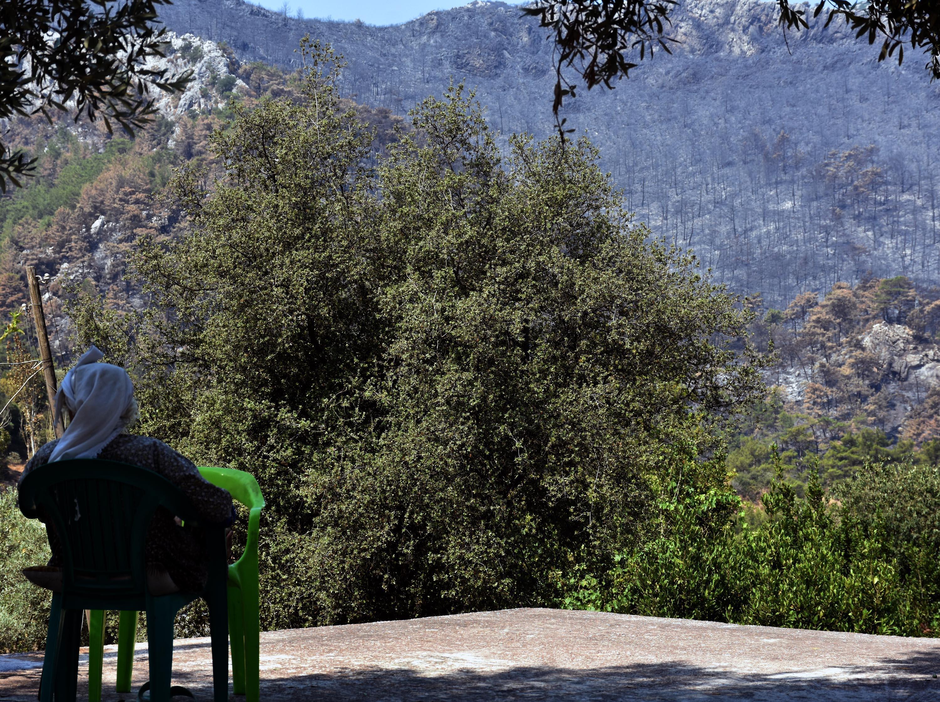 Marmariste 9 gün süren yangın kontrol altında, soğutma çalışması sürüyor