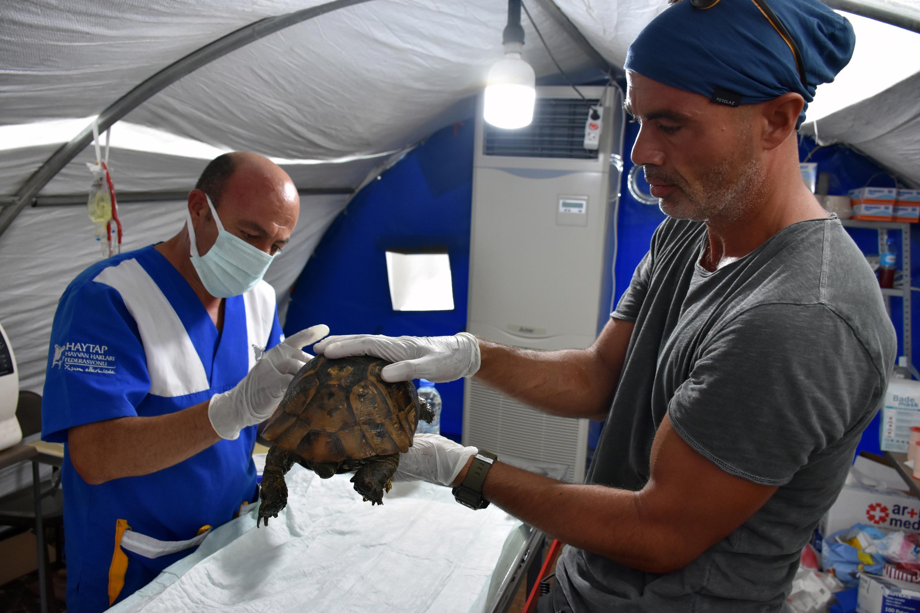 Marmariste 9 gün süren yangın kontrol altında, soğutma çalışması sürüyor