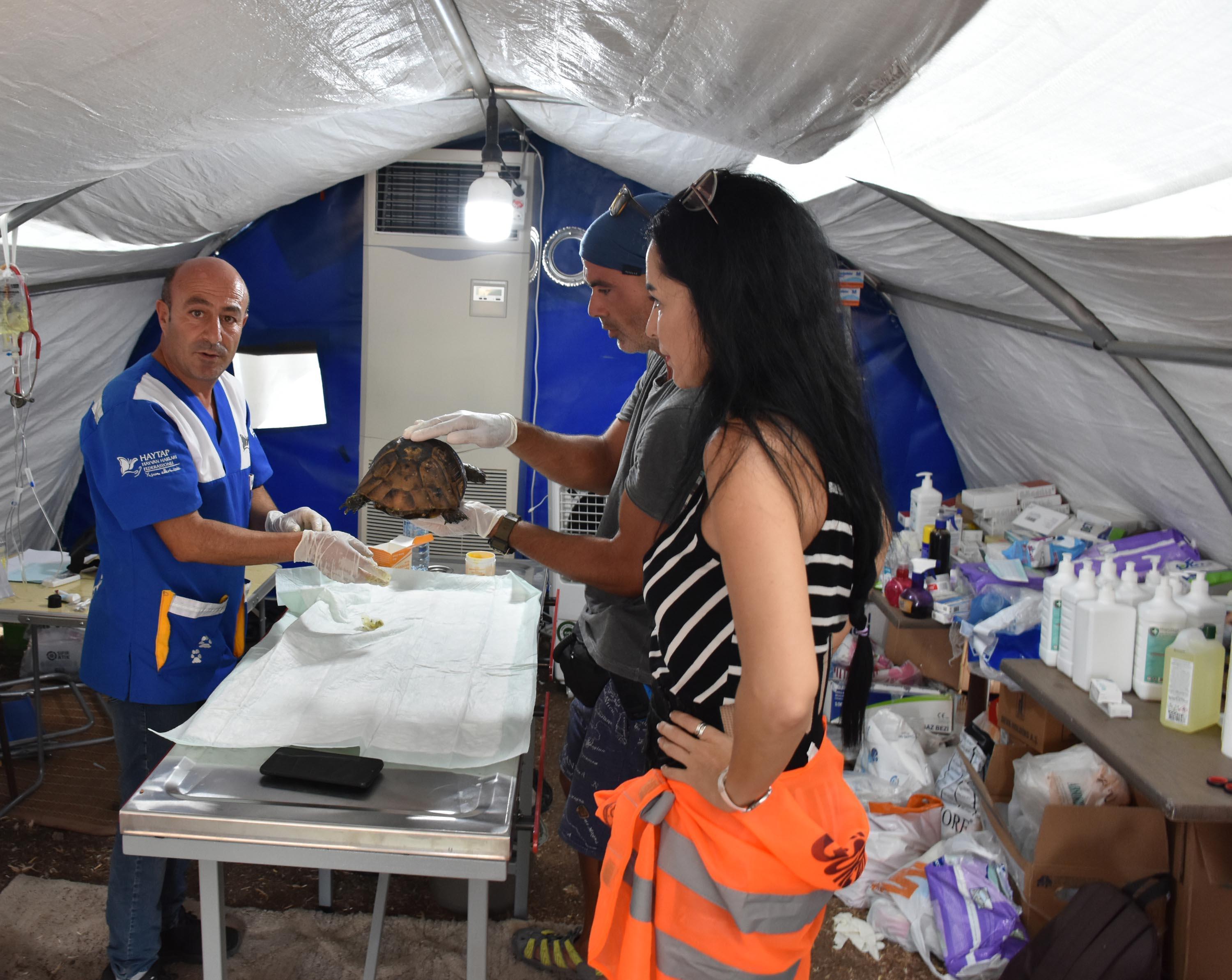 Marmariste 9 gün süren yangın kontrol altında, soğutma çalışması sürüyor