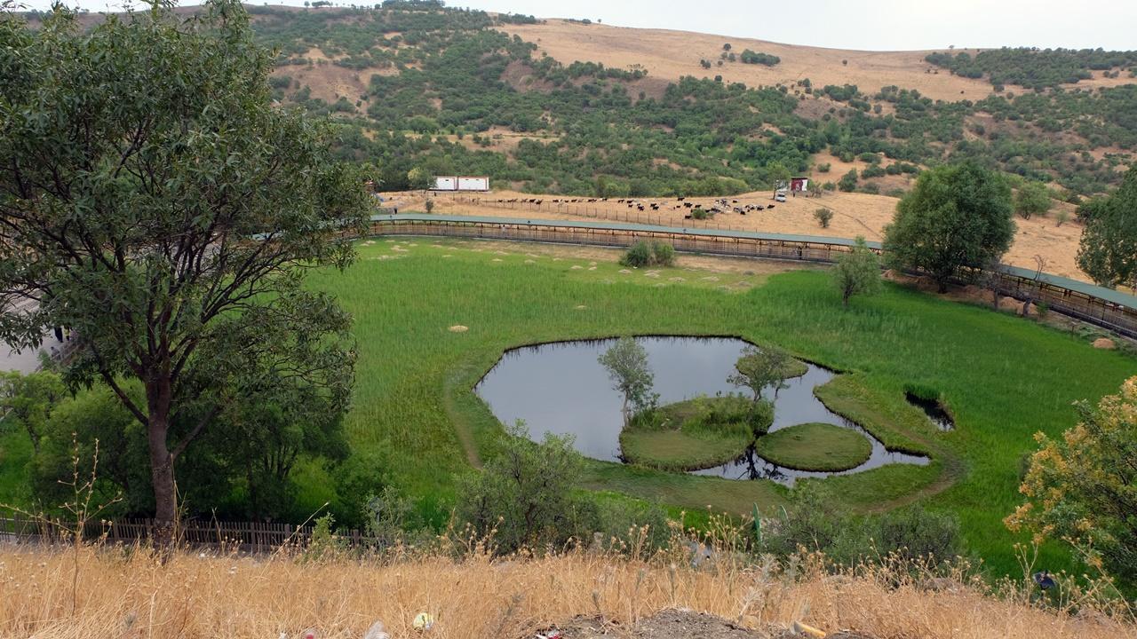 Bingöl’de yüzen adalara 7 ayda 30 bin ziyaretçi