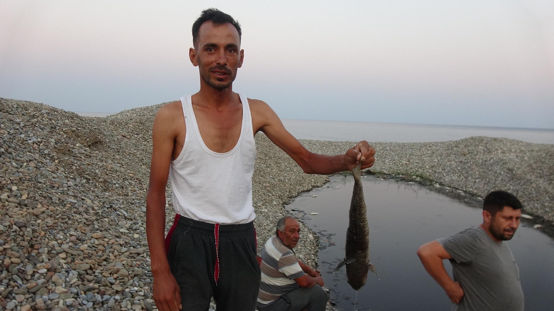 Mersinde derede toplu balık ölümü tedirginliği