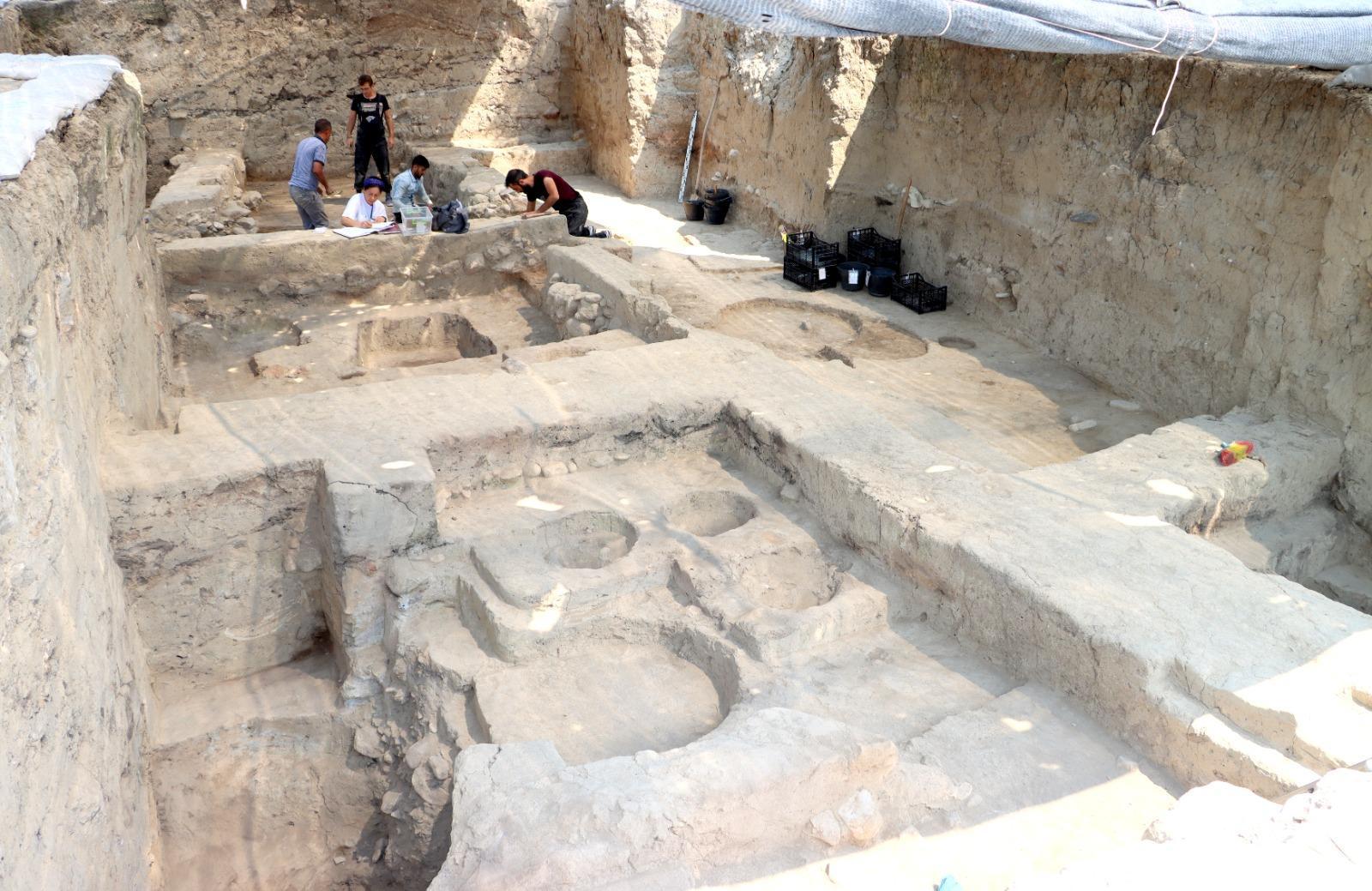 Zeytinin binlerce yıllık yolculuğu gün yüzüne çıkıyor