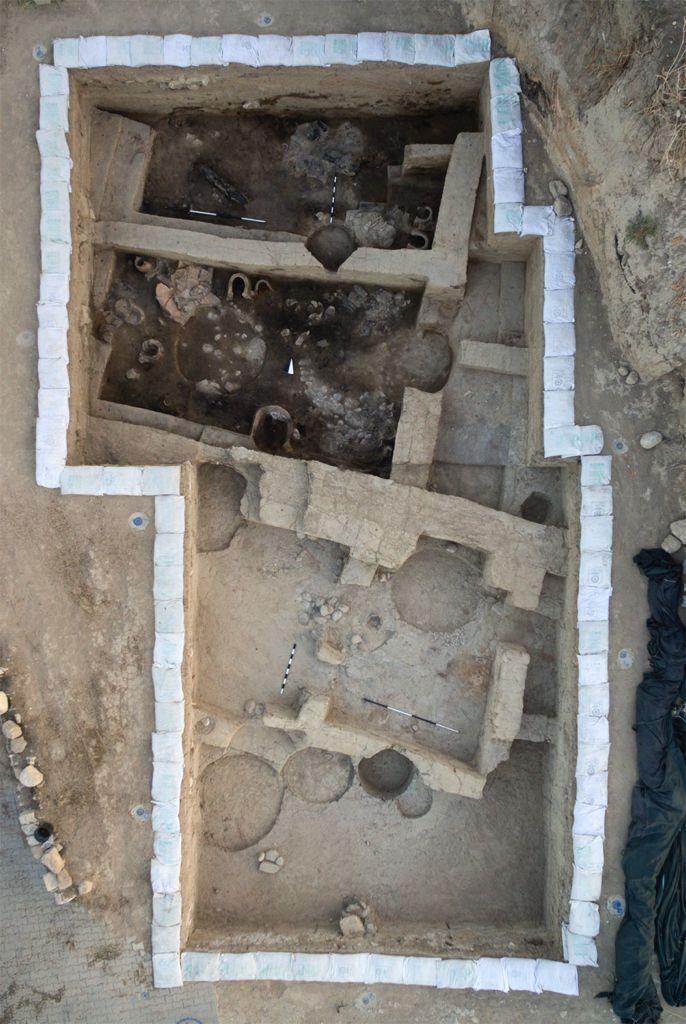 Zeytinin binlerce yıllık yolculuğu gün yüzüne çıkıyor