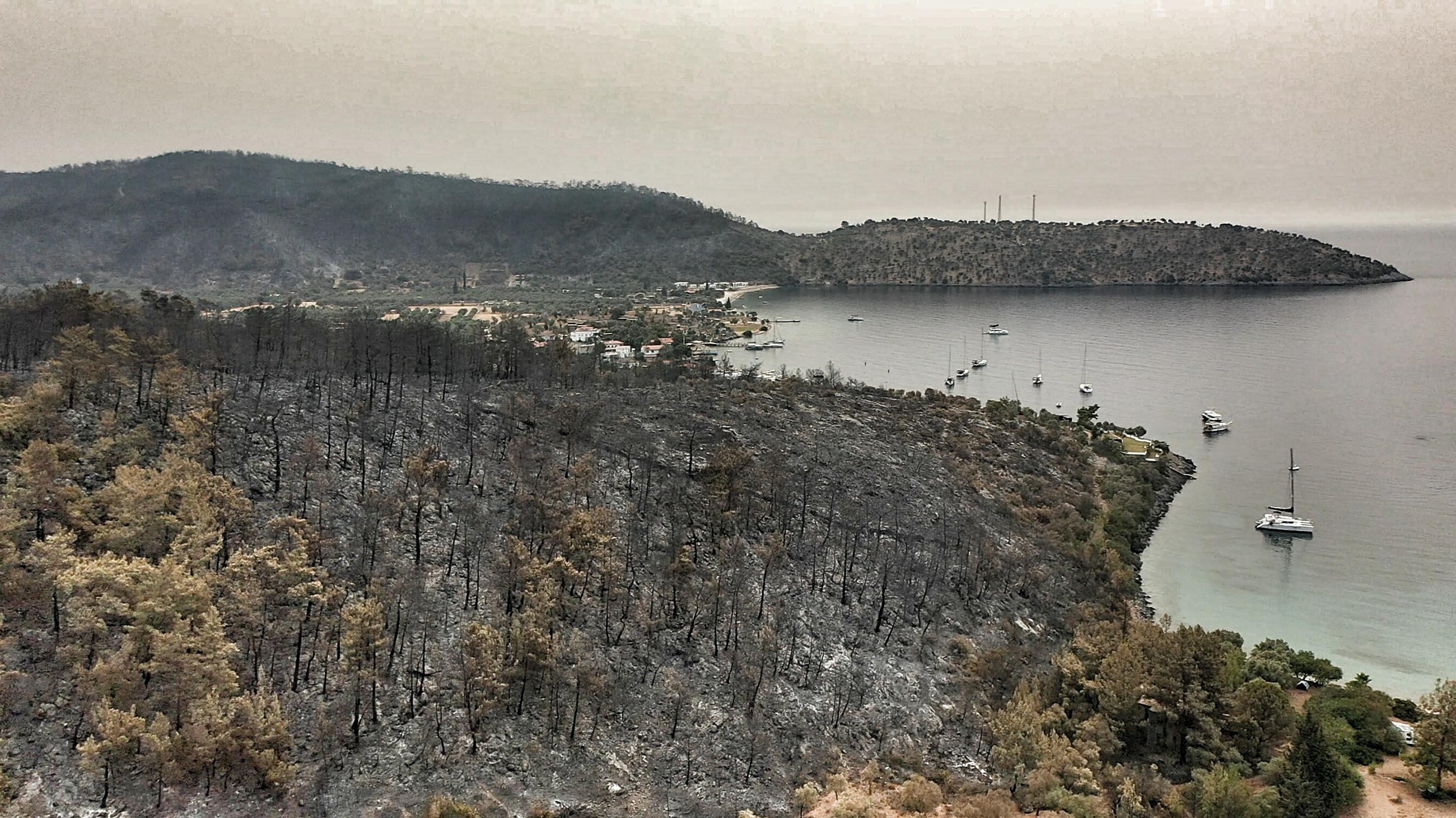 Damage caused by wildfire in Bodrum and Milas were viewed from the air