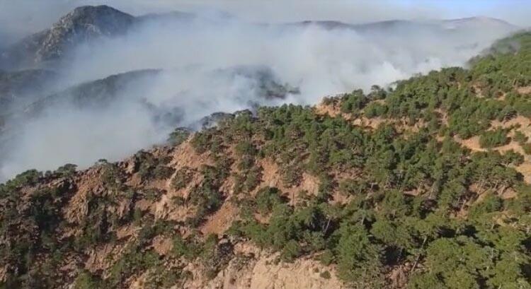 Köyceğiz yangınında 13üncü gün