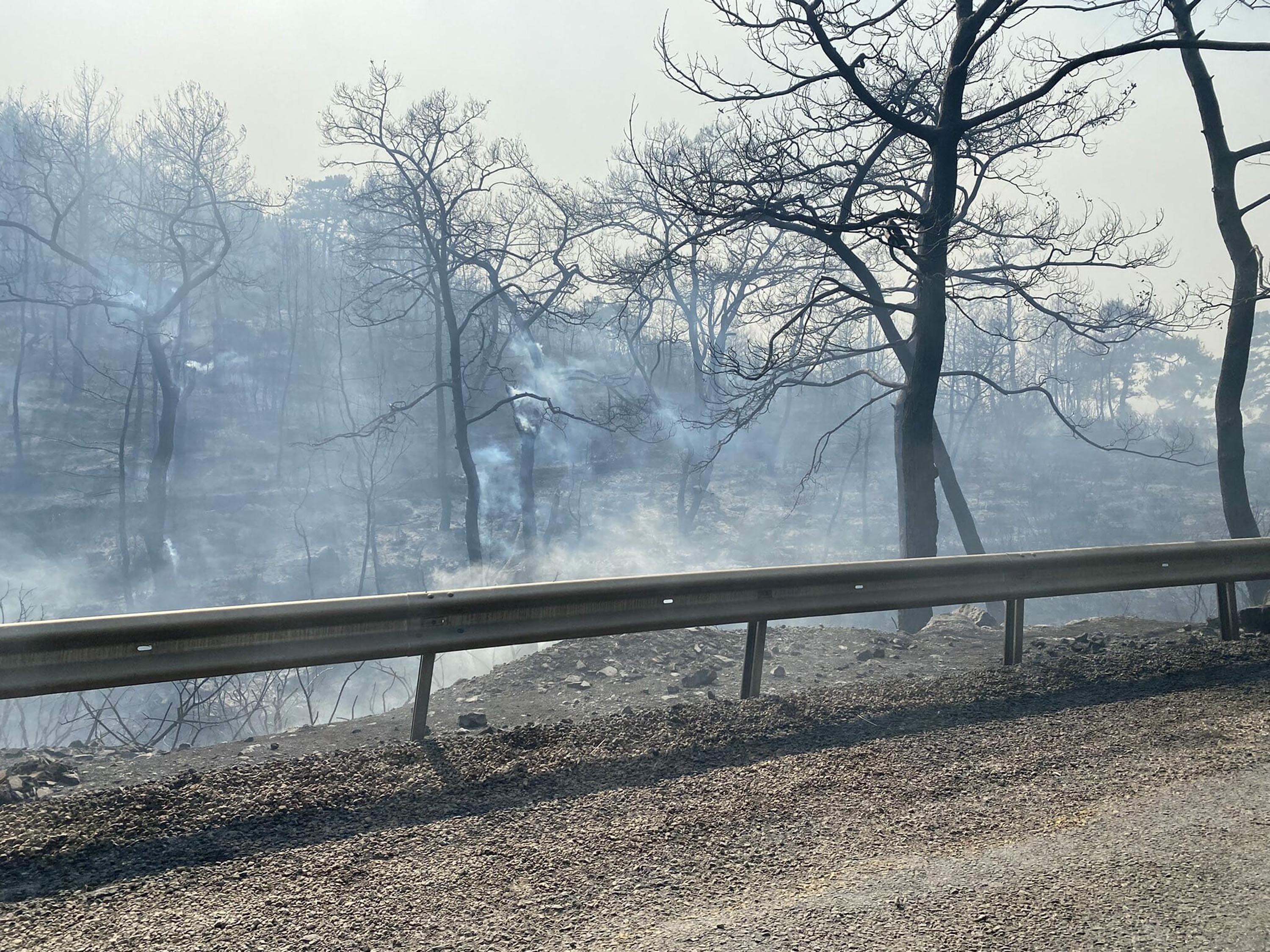 11 gündür devam eden Milas yangını kontrol altına alındı