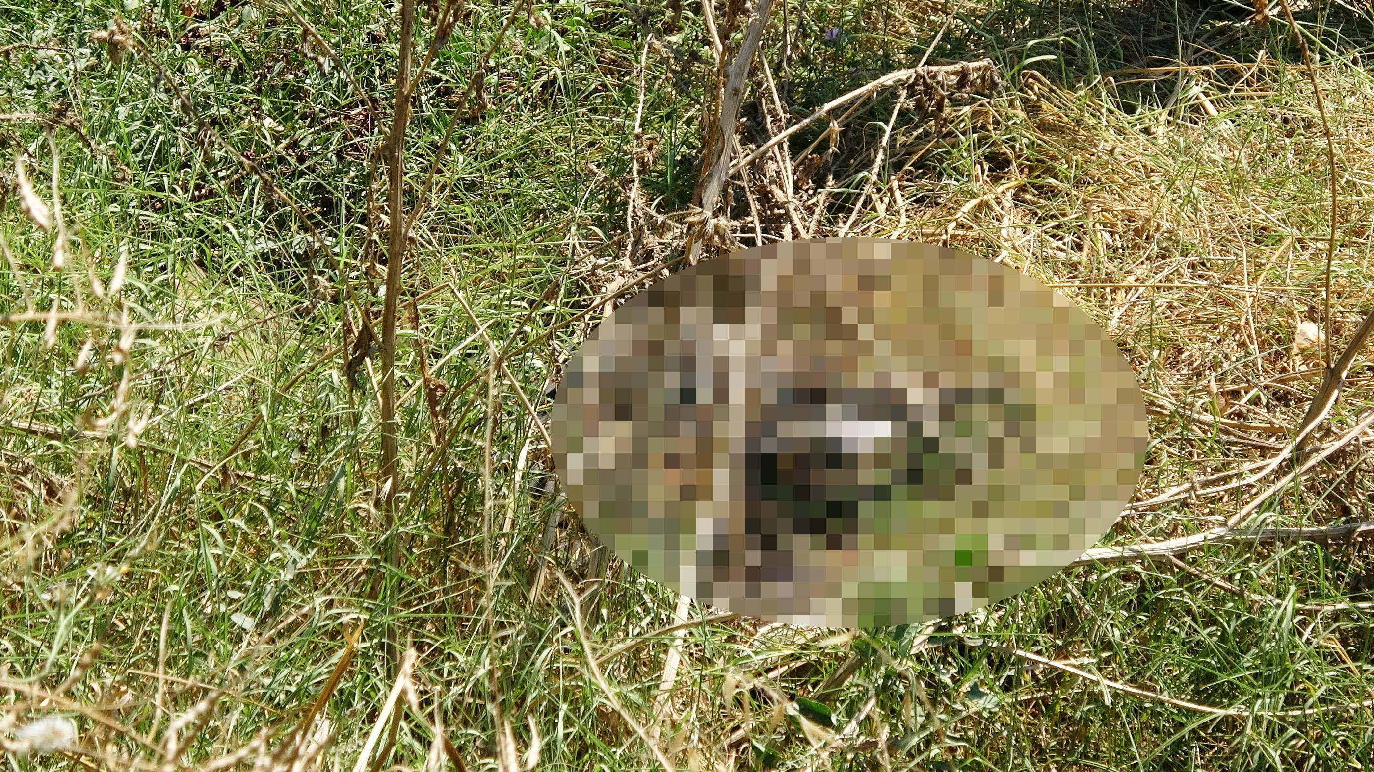 Çöp sandığı ayakkabıyı almak isterken ceset buldu