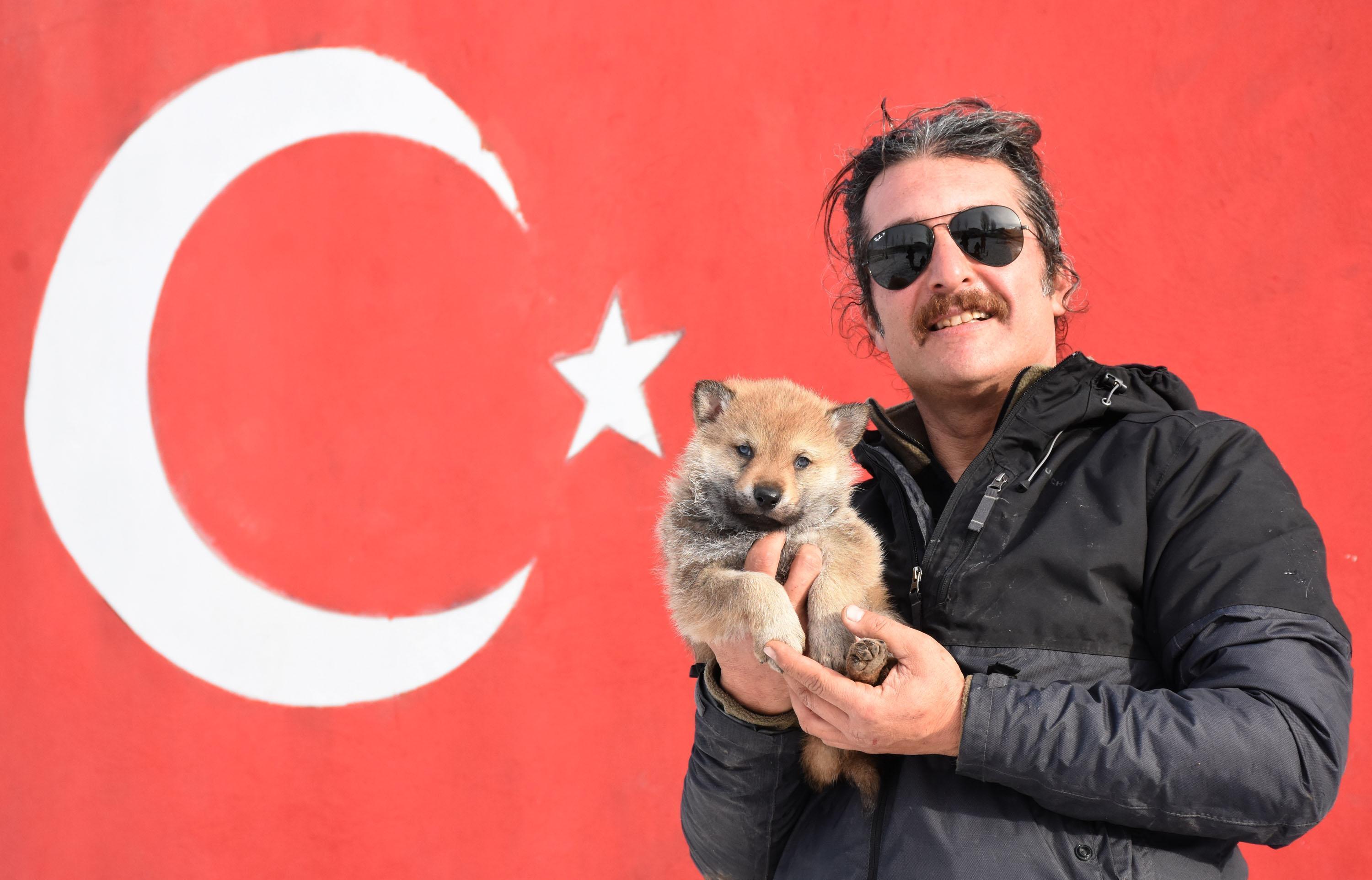 Özel yetiştirdiği kurtlarıyla dağlarda geziyor