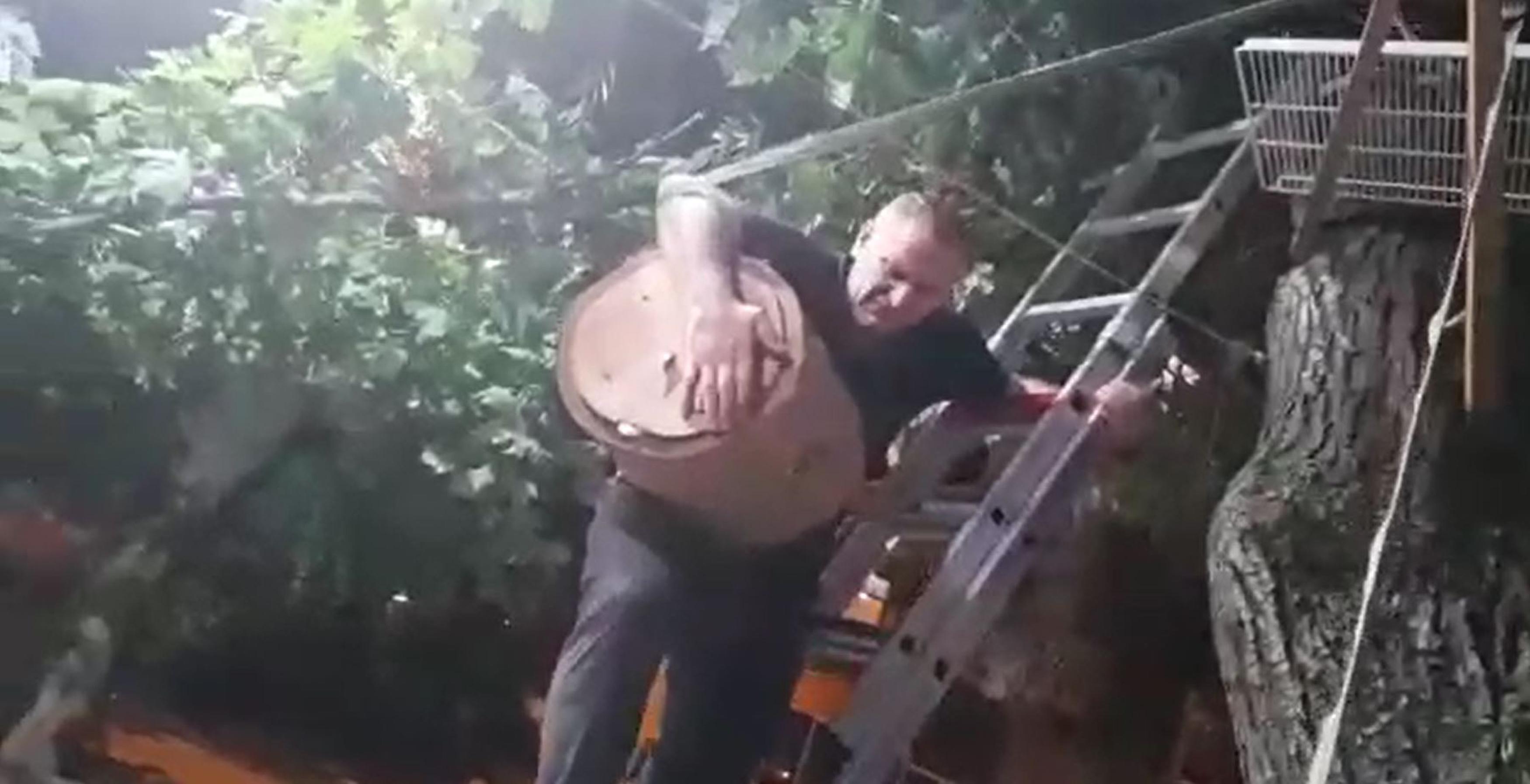 Kadıköyde 4 ay önce kurulan arı kovanında yetişen ballar mahalle sakinleriyle buluştu