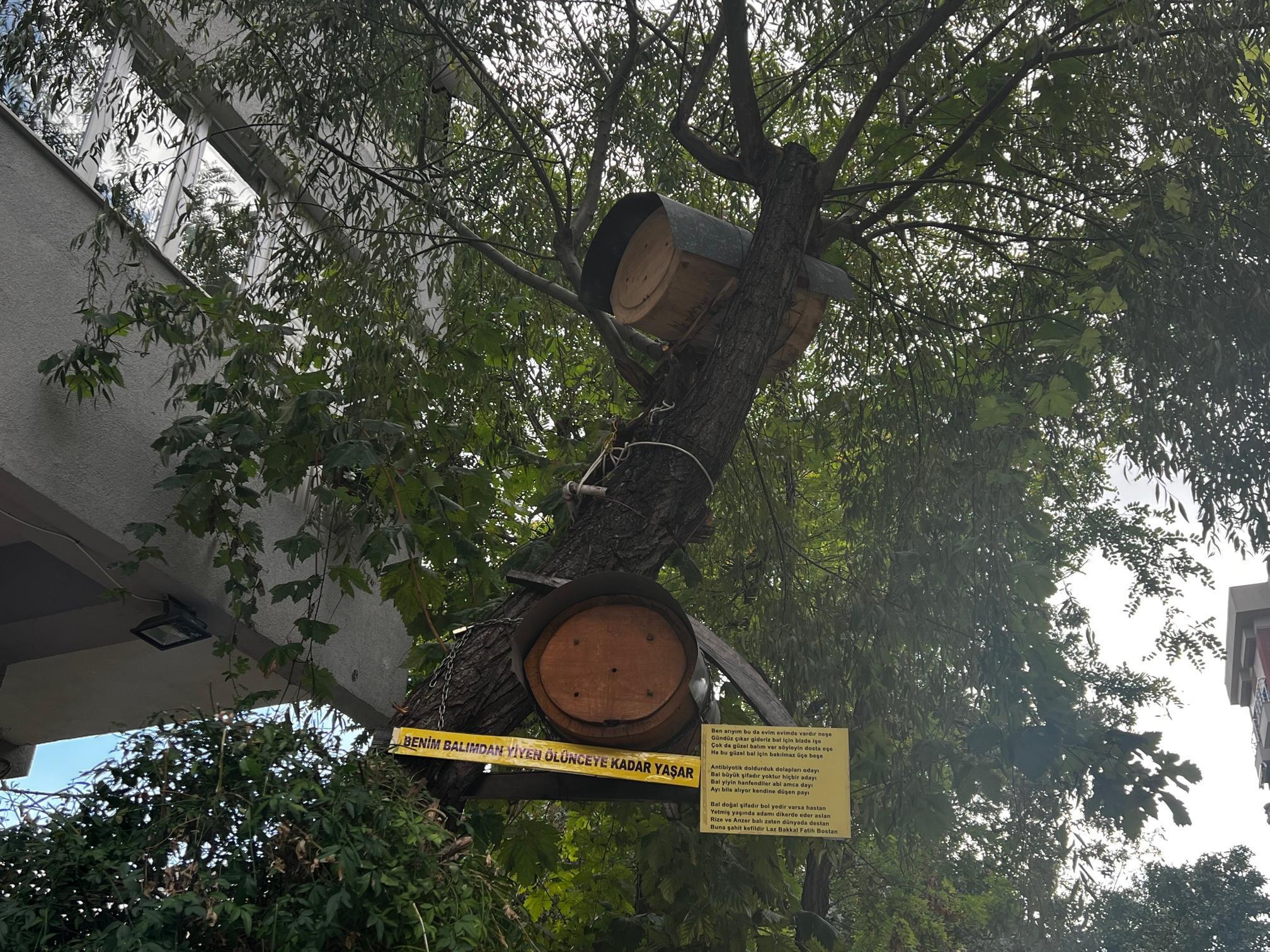 Kadıköyde 4 ay önce kurulan arı kovanında yetişen ballar mahalle sakinleriyle buluştu