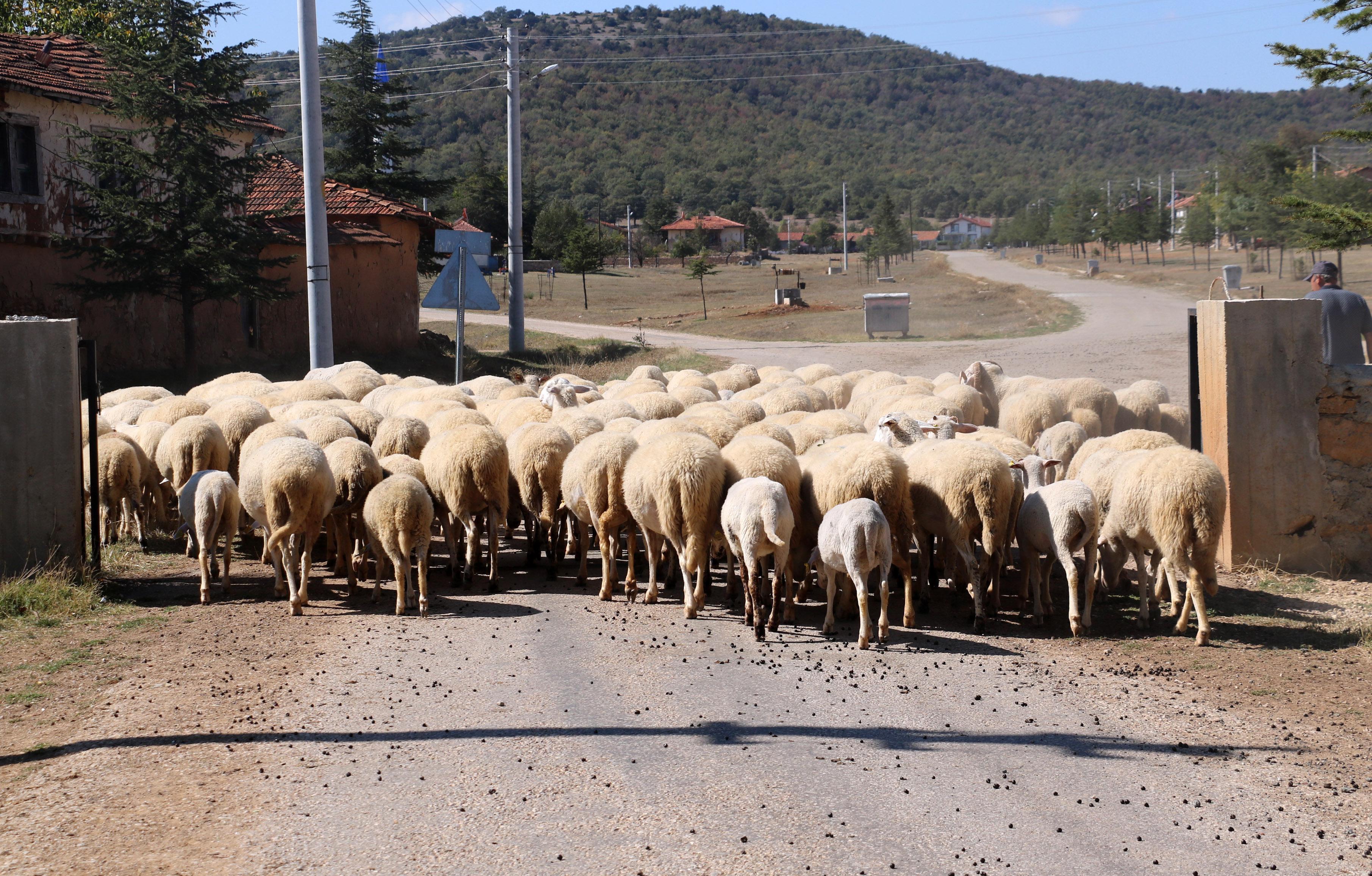 Gelenin açtığı, gidenin kapattığı kapılı köy