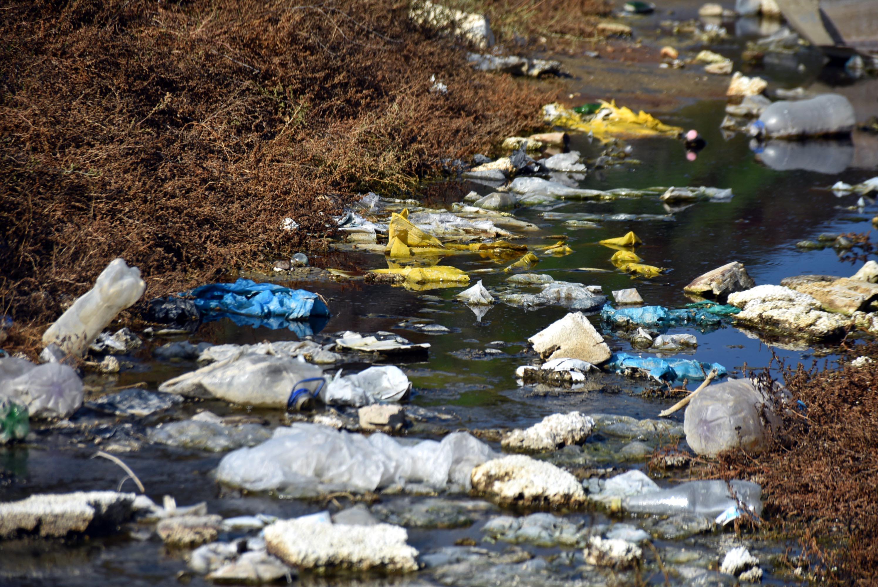 Edirnede çevrecileri harekete geçiren görüntü