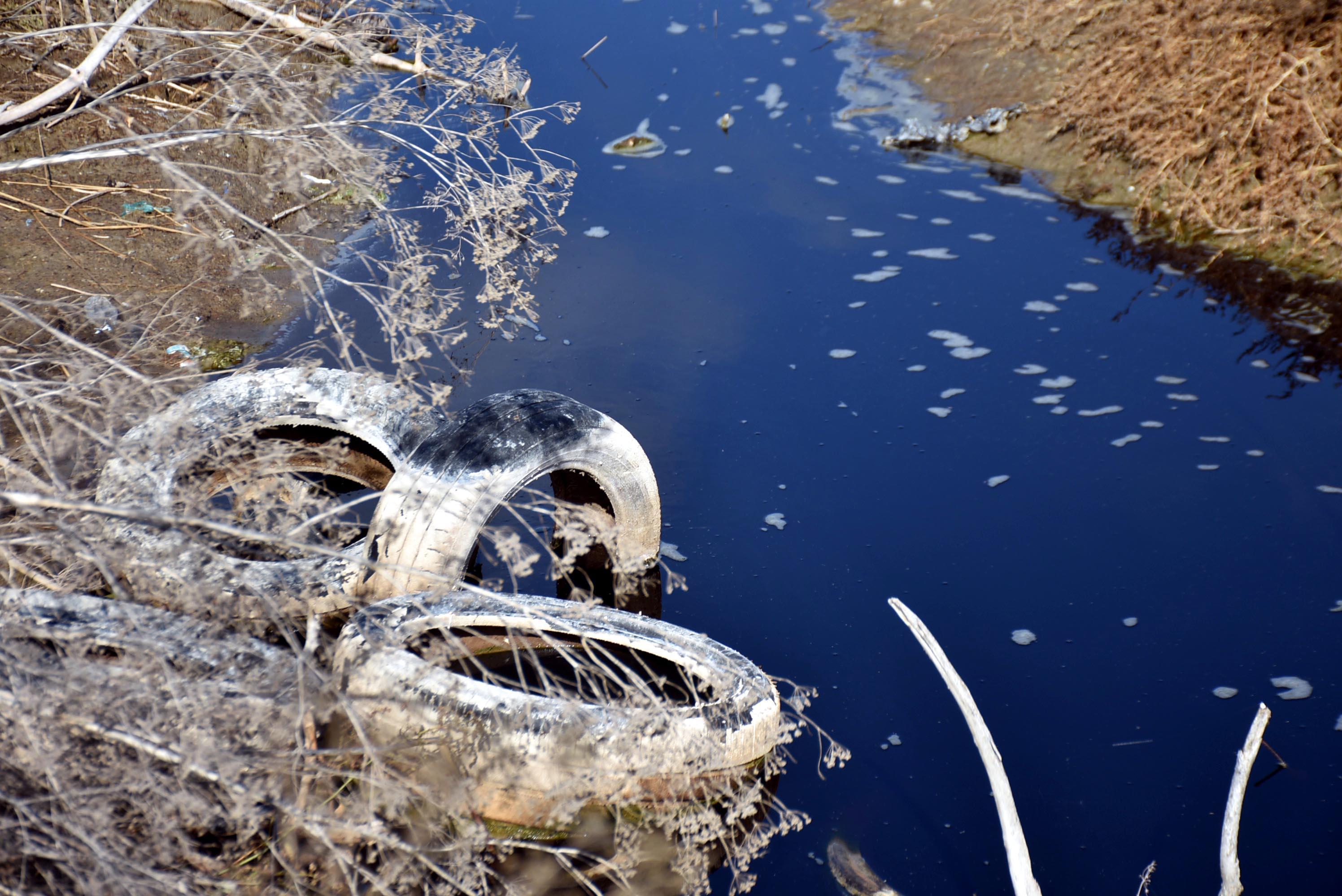 Edirnede çevrecileri harekete geçiren görüntü