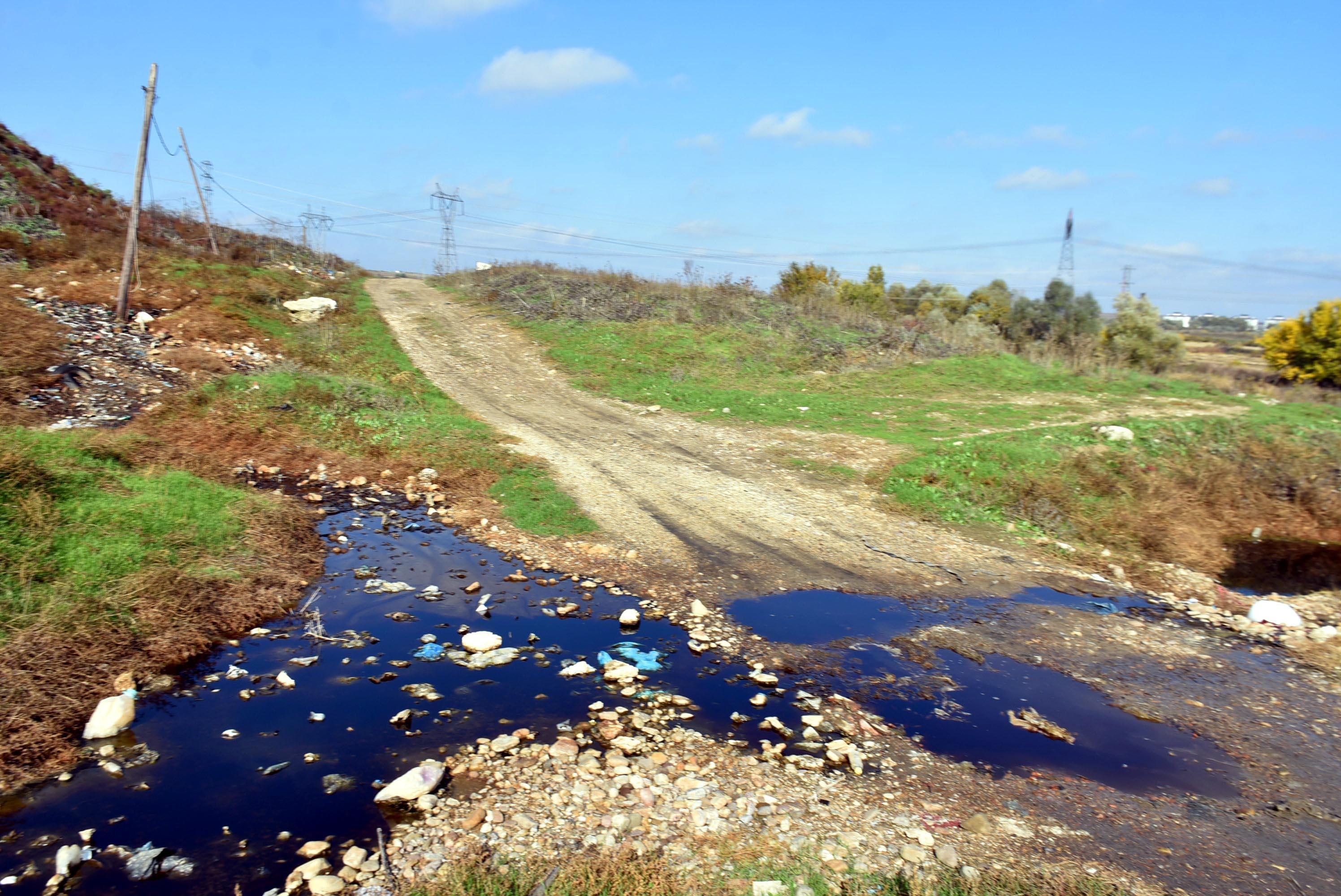 Edirnede çevrecileri harekete geçiren görüntü