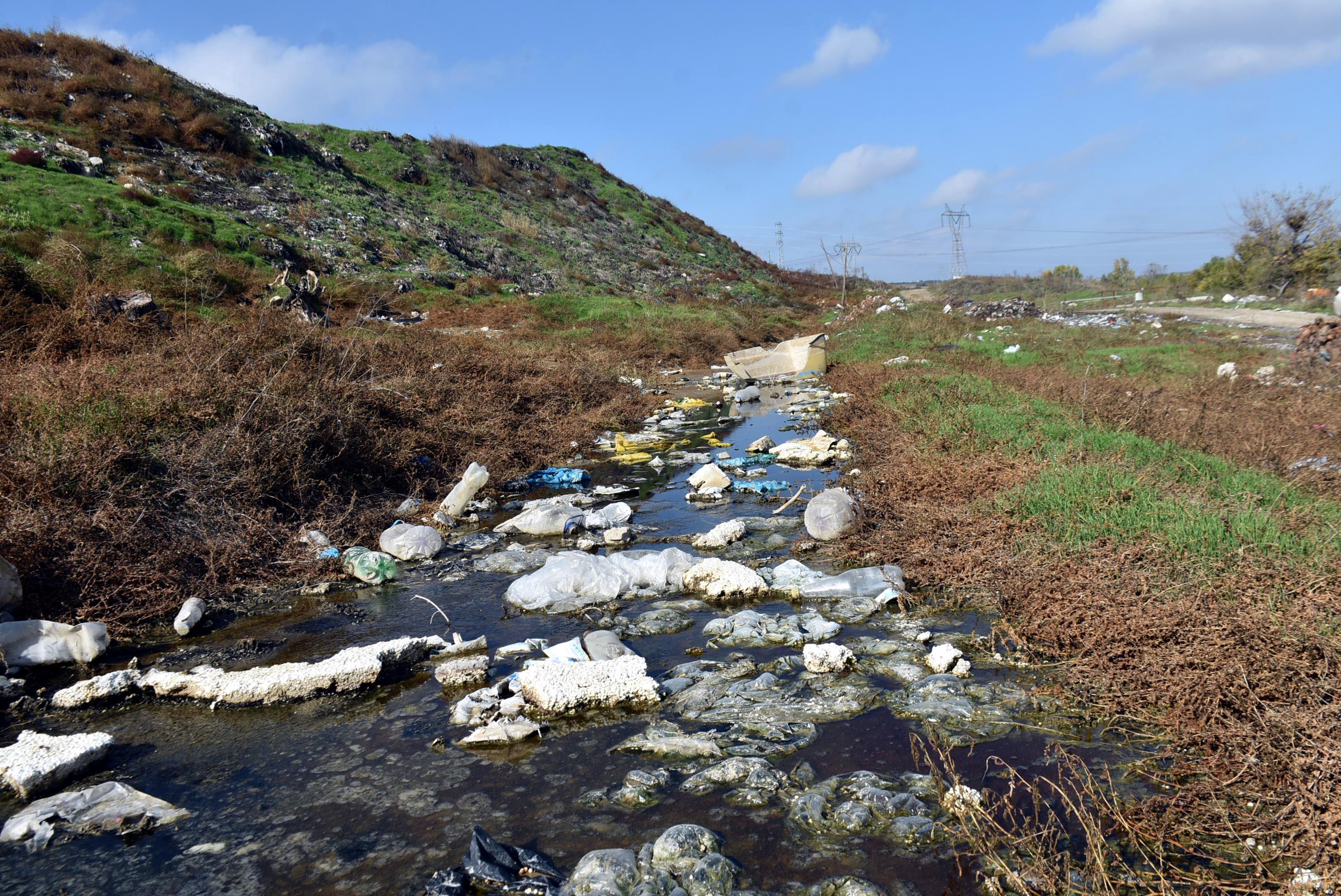 Edirnede çevrecileri harekete geçiren görüntü