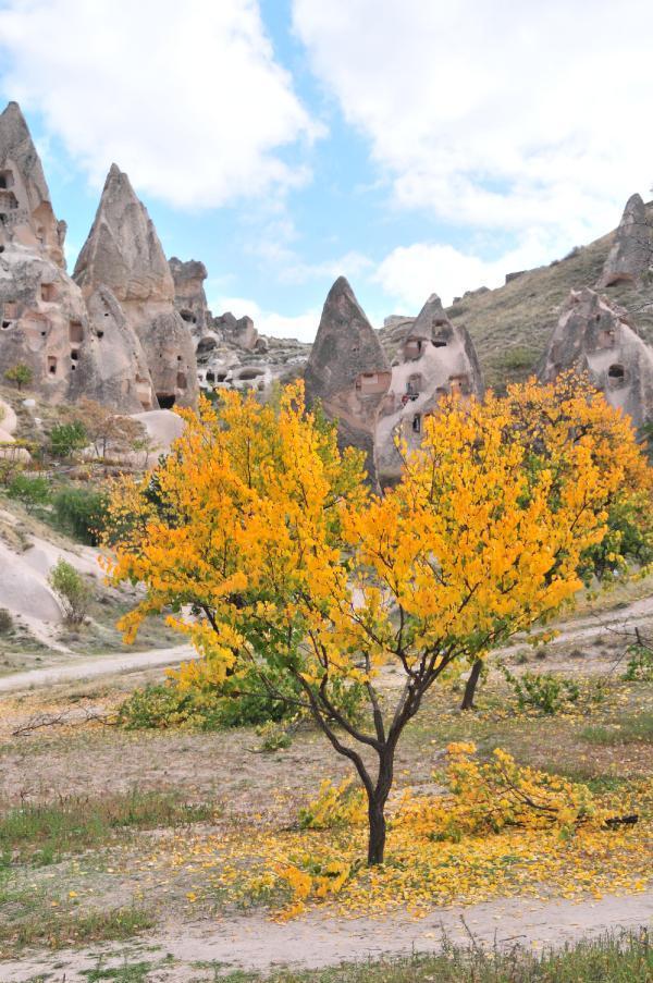 Kapadokya’da sonbahar renkleri