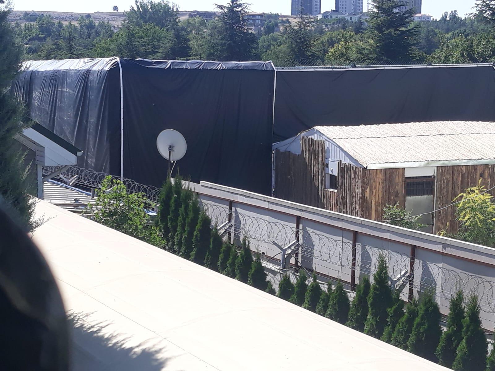 Aslanlar kükredi mahalleli ayağa kalktı