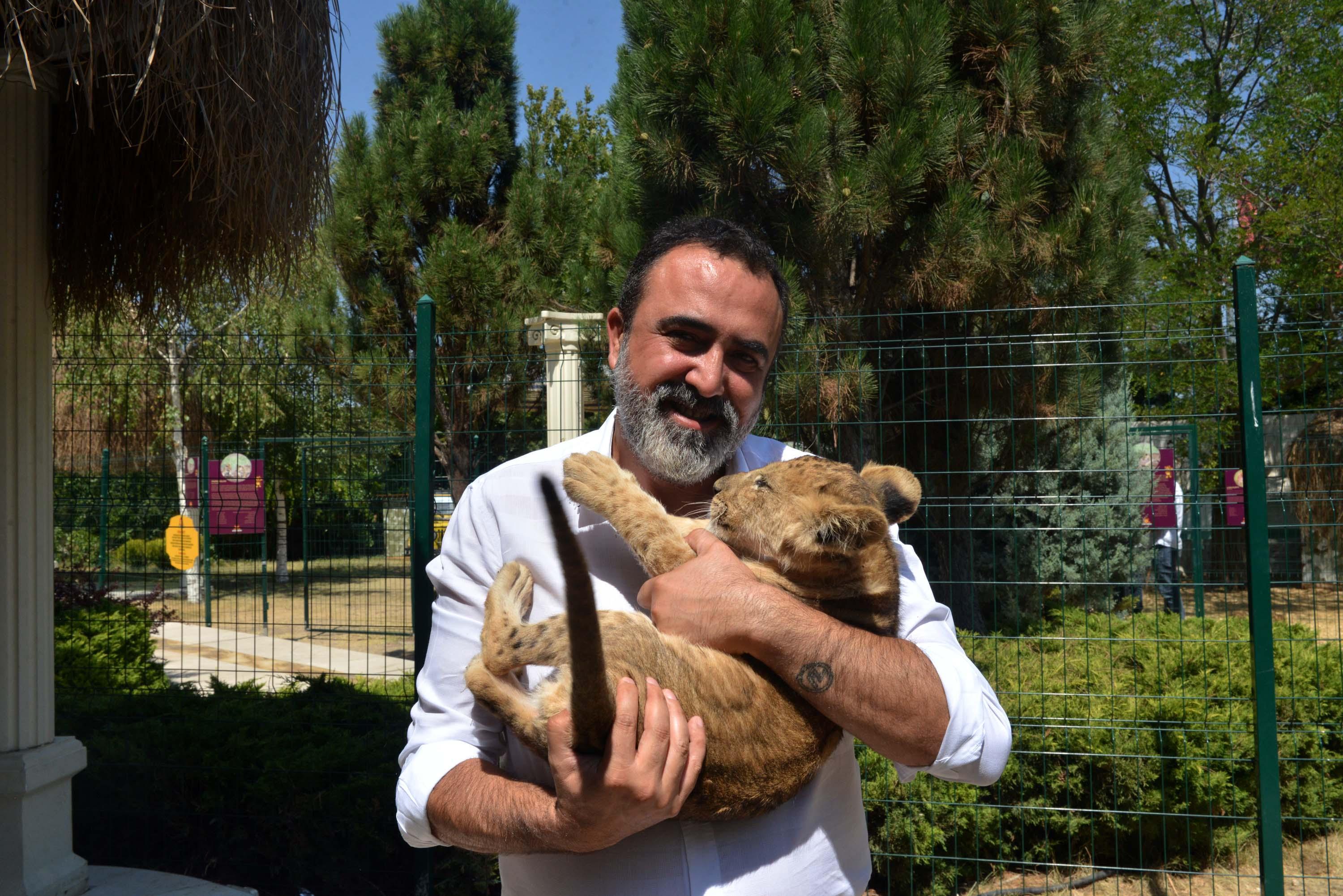 Aslanlar kükredi mahalleli ayağa kalktı