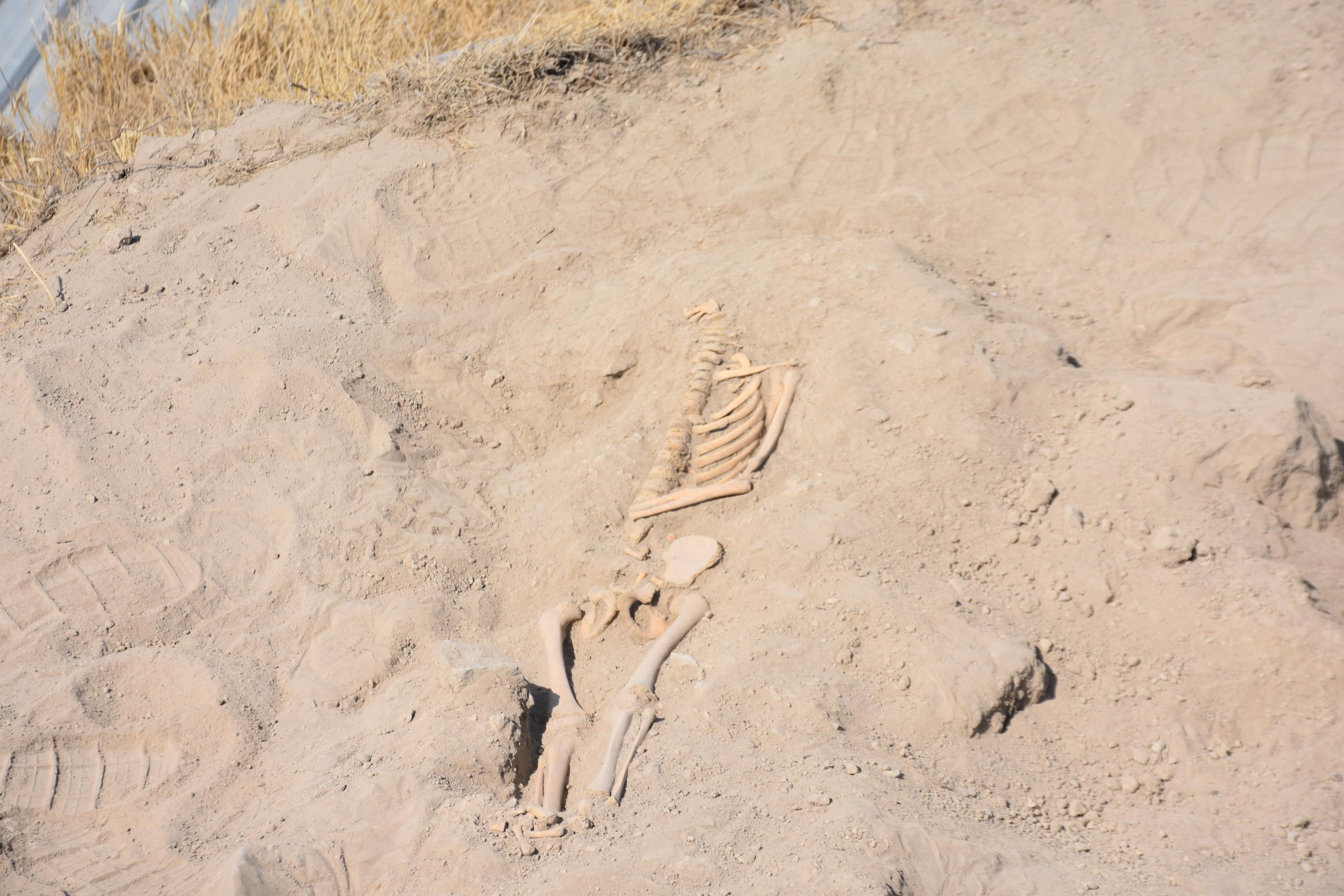 Arslantepe Höyüğünde bin yıllık mezarlar, 5 bin 500 yıllık ev kalıntıları bulundu