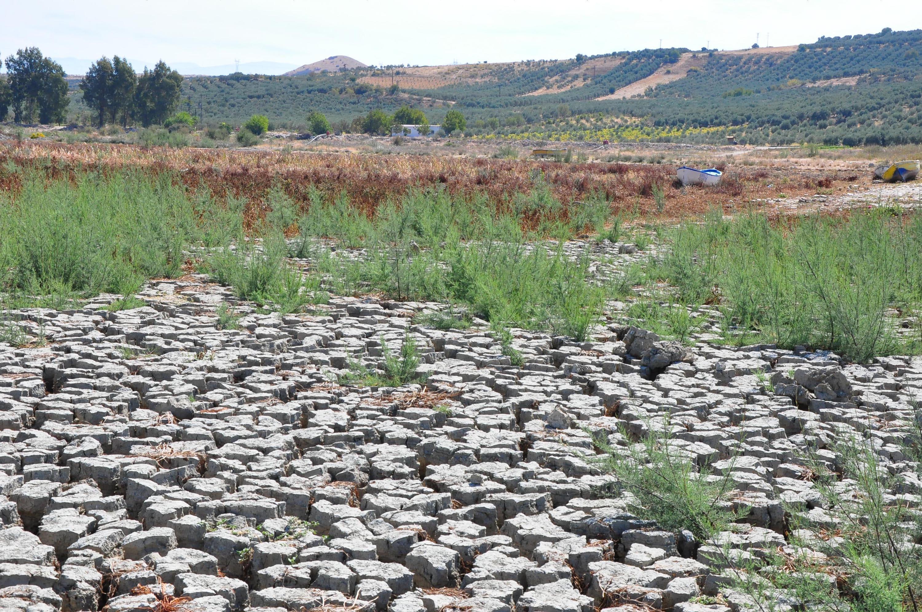 Tarım ve Orman Bakanlığı onay verdi, Marmara Gölüne su verilecek