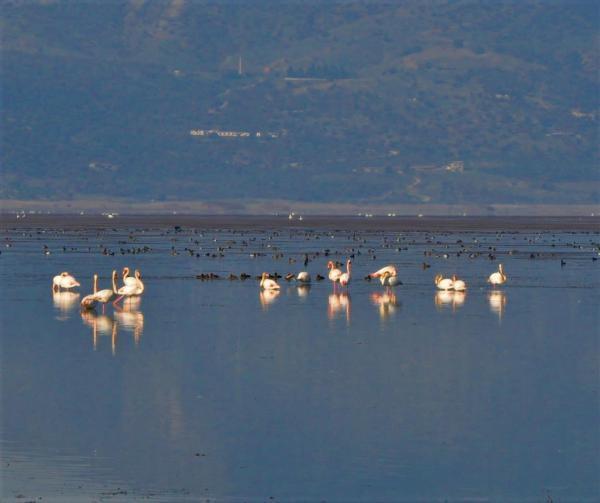 Tarım ve Orman Bakanlığı onay verdi, Marmara Gölüne su verilecek