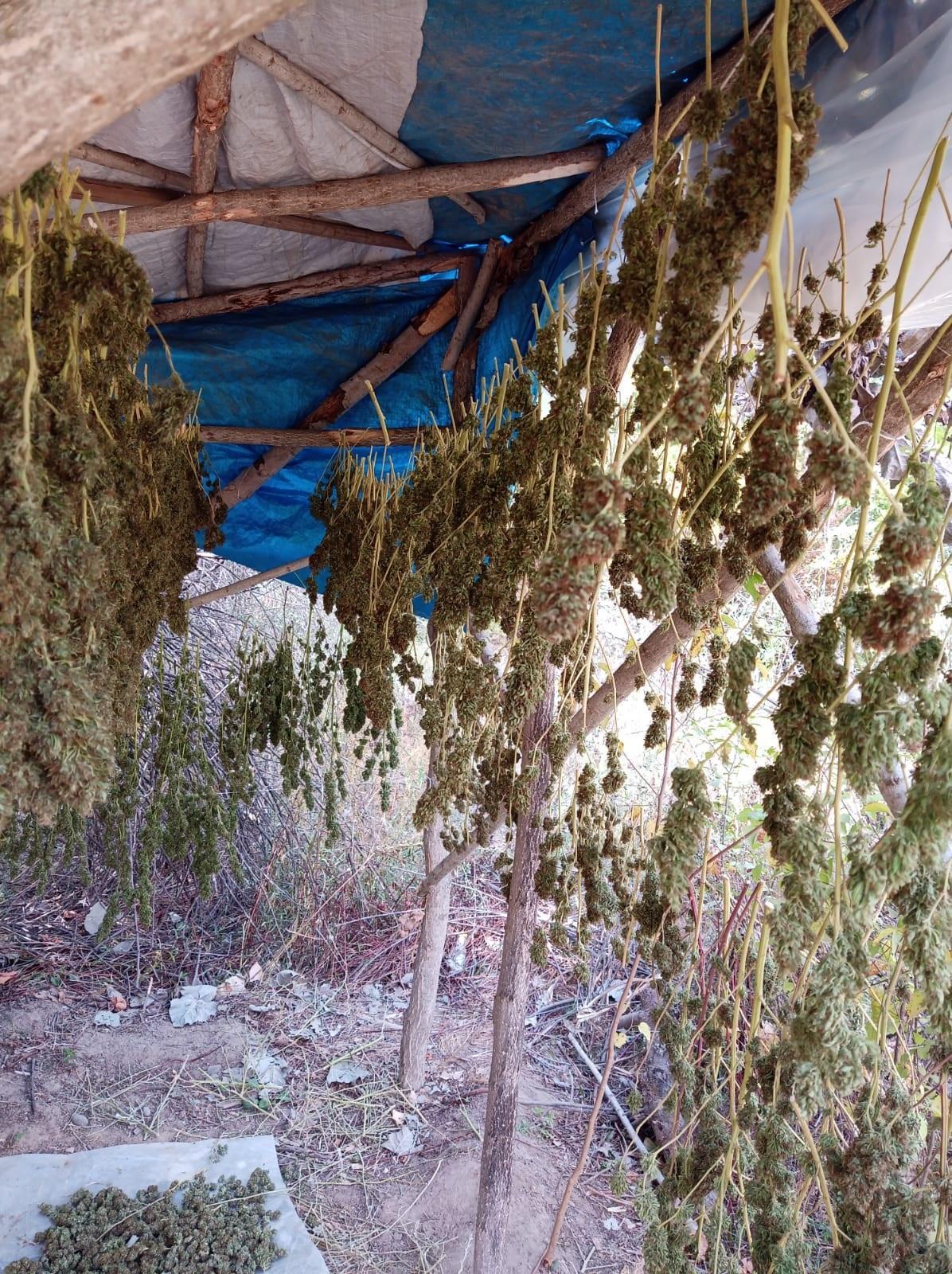 Hevsel Bahçelerine uyuşturucu operasyonu: 4 gözaltı