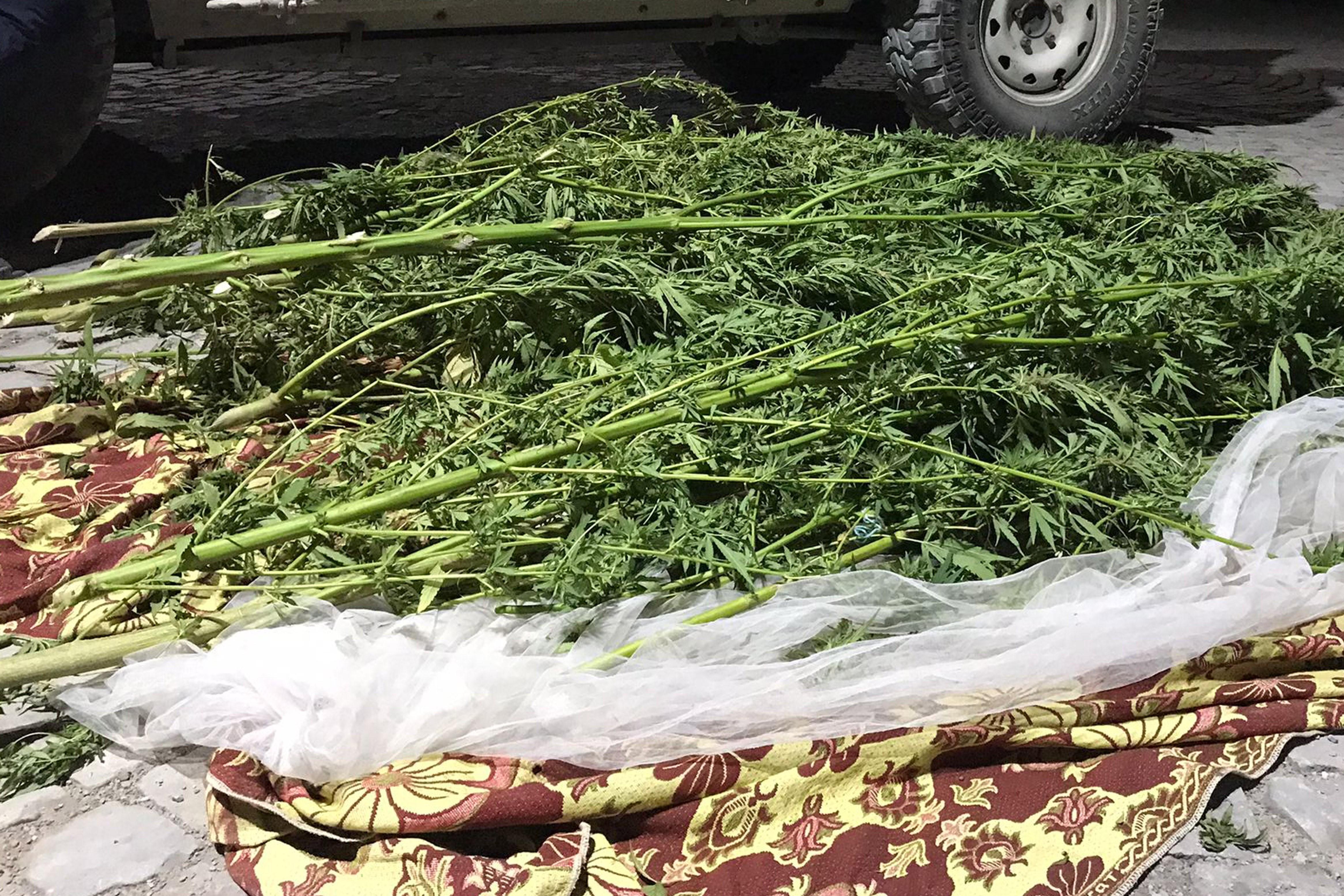 Hevsel Bahçelerine uyuşturucu operasyonu: 4 gözaltı