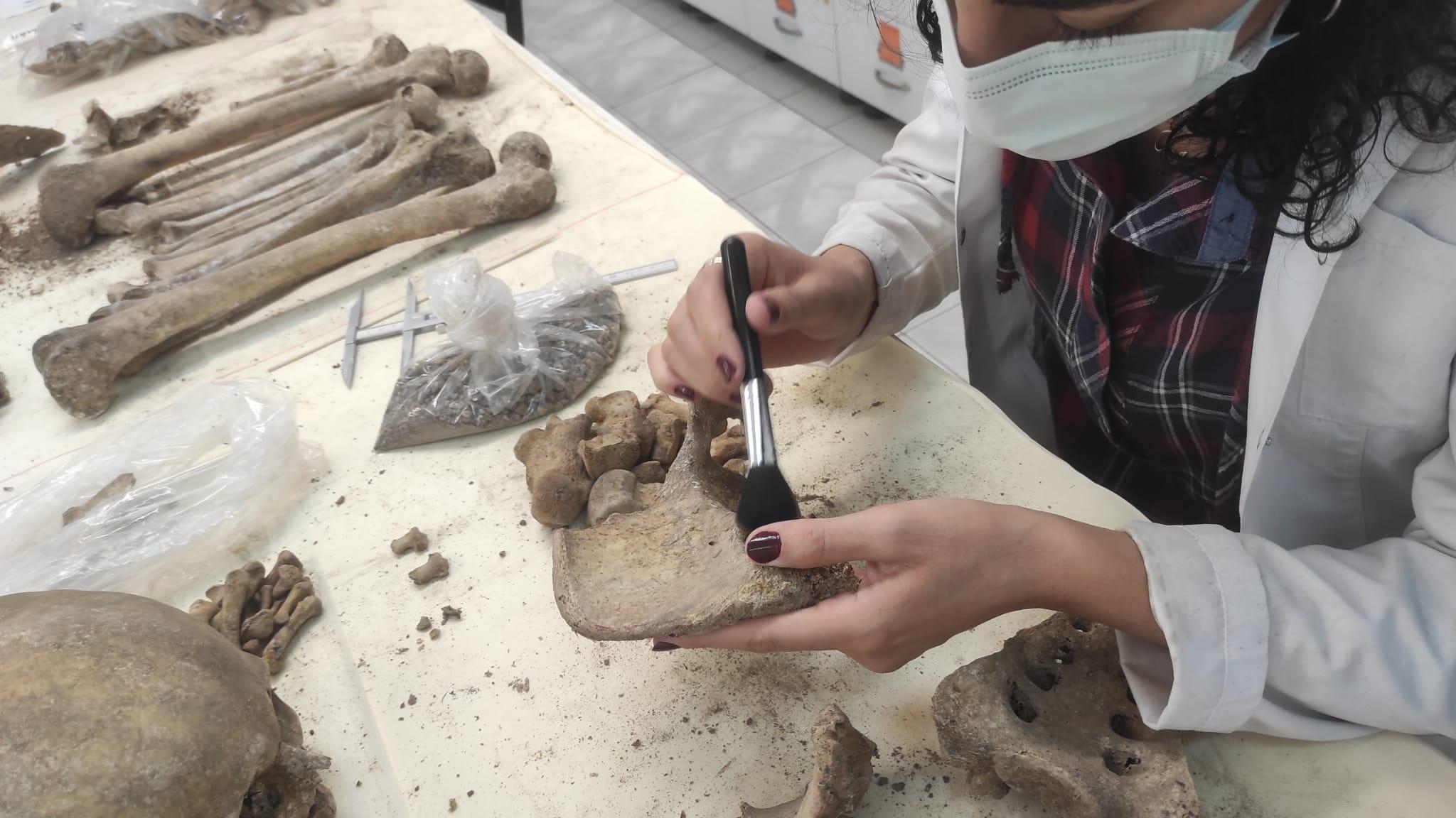 Hacettepenin antik DNA laboratuvarı neolitik döneme ışık tutuyor