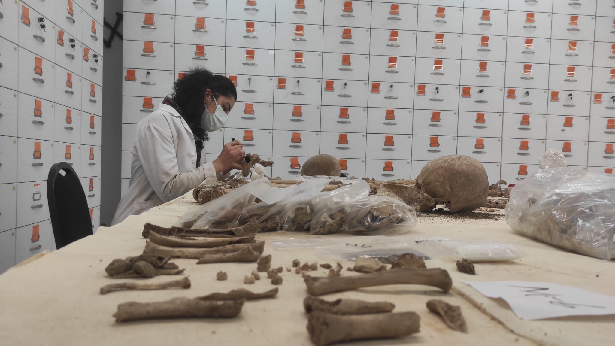 Hacettepenin antik DNA laboratuvarı neolitik döneme ışık tutuyor