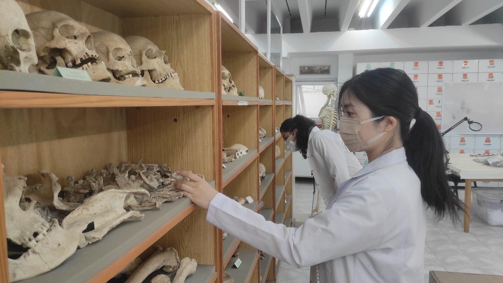 Hacettepenin antik DNA laboratuvarı neolitik döneme ışık tutuyor