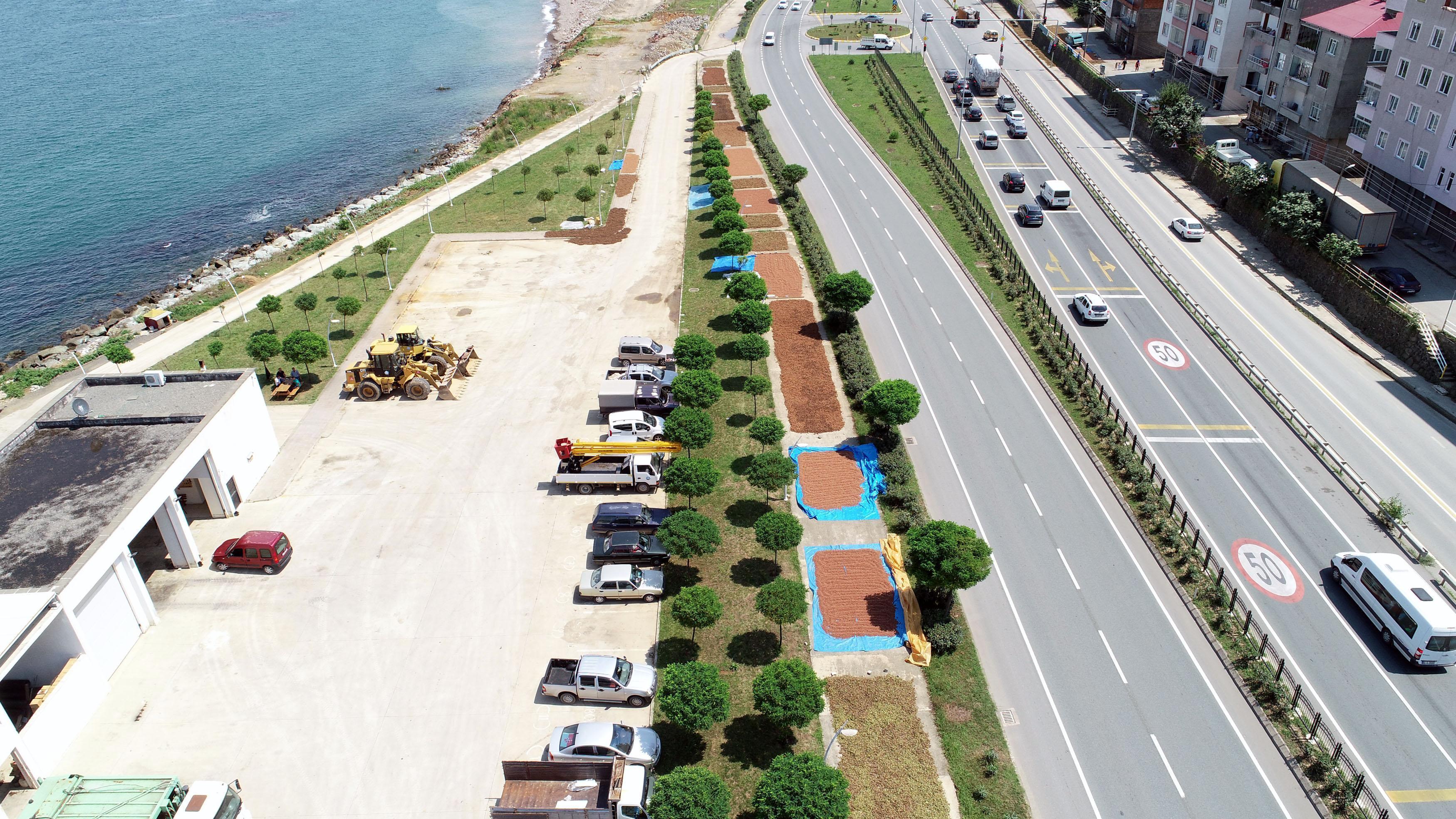 Güneşi görmeyen fındık, makineyle kurutuluyor