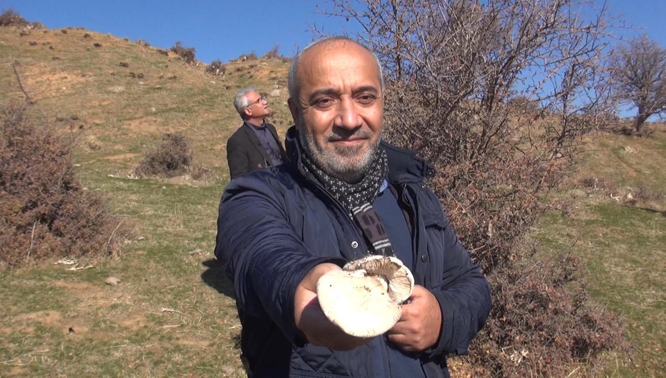 Terörle anılan Şenyaylada çay içip, mantar topladılar