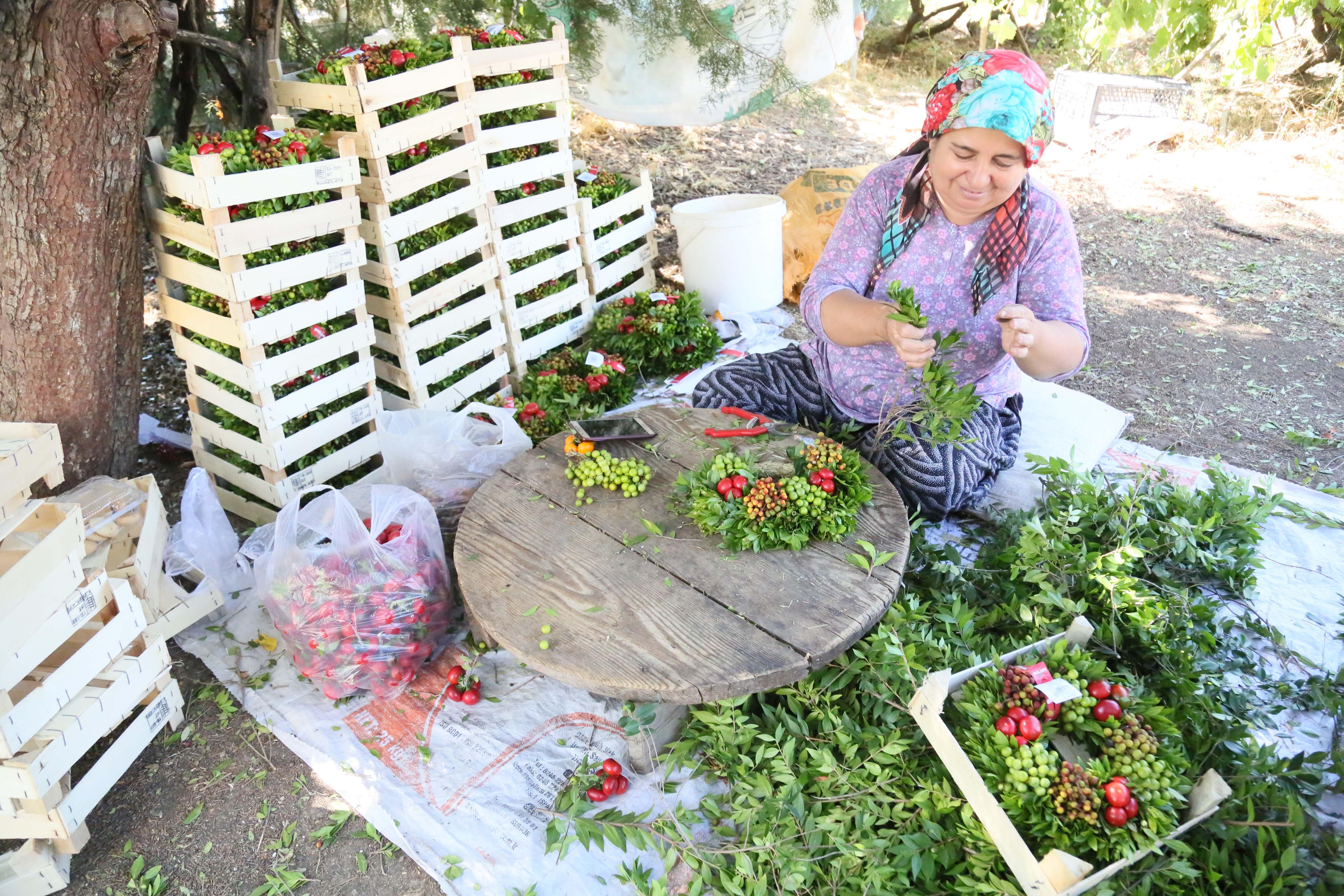 Bu beldeden Avrupaya 1 milyon çelenk ihraç ediliyor