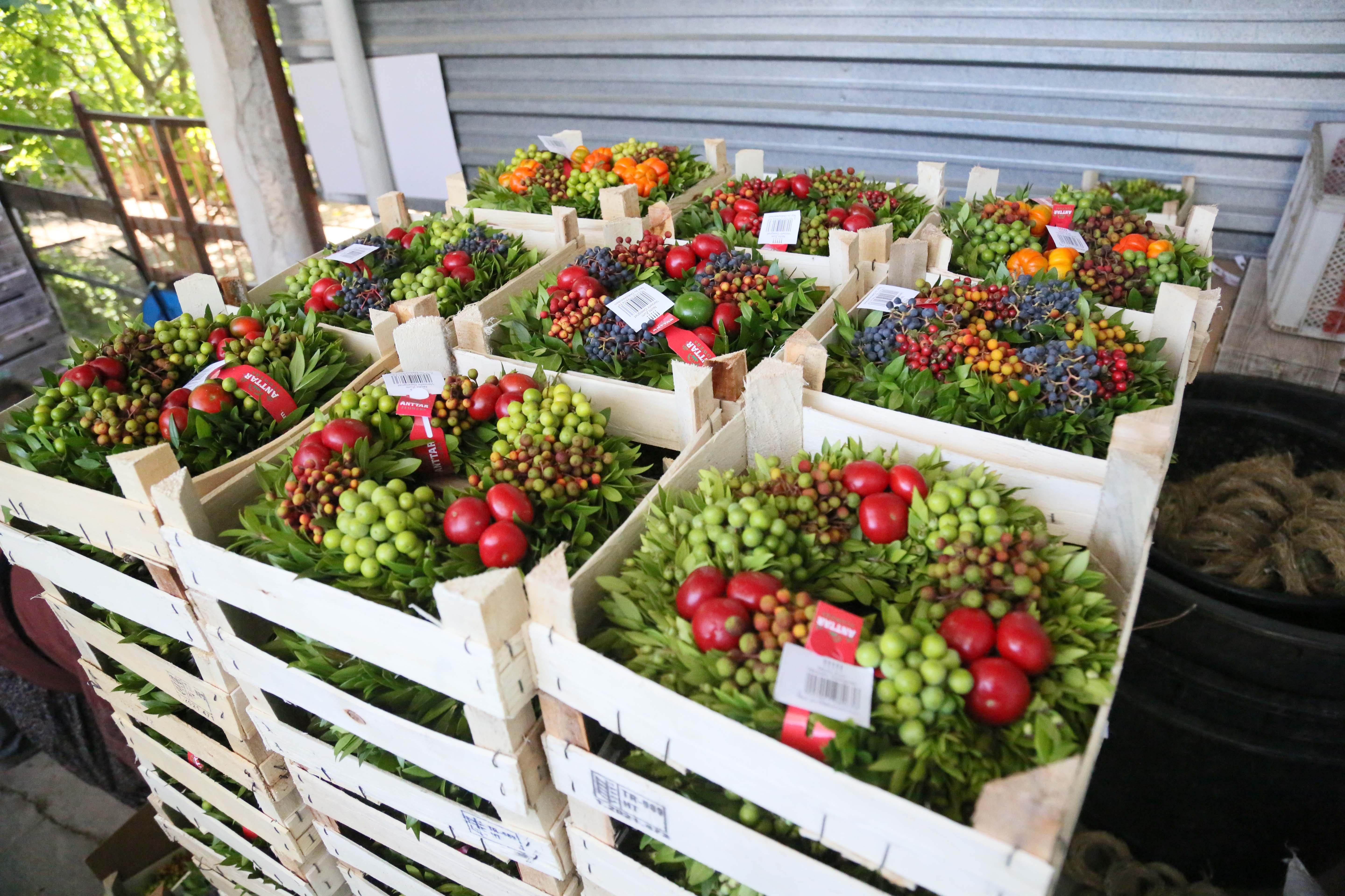 Bu beldeden Avrupaya 1 milyon çelenk ihraç ediliyor