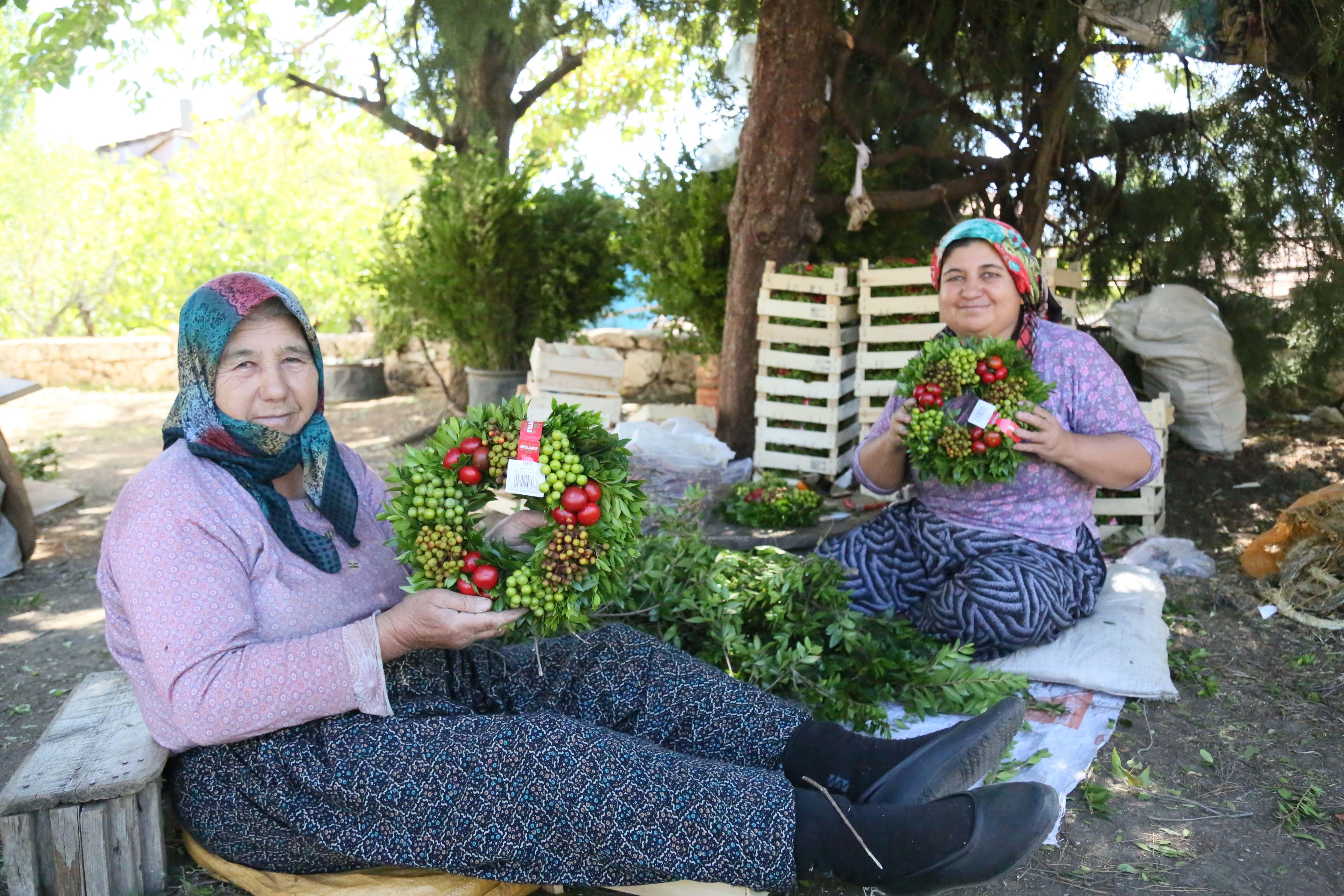 Bu beldeden Avrupaya 1 milyon çelenk ihraç ediliyor