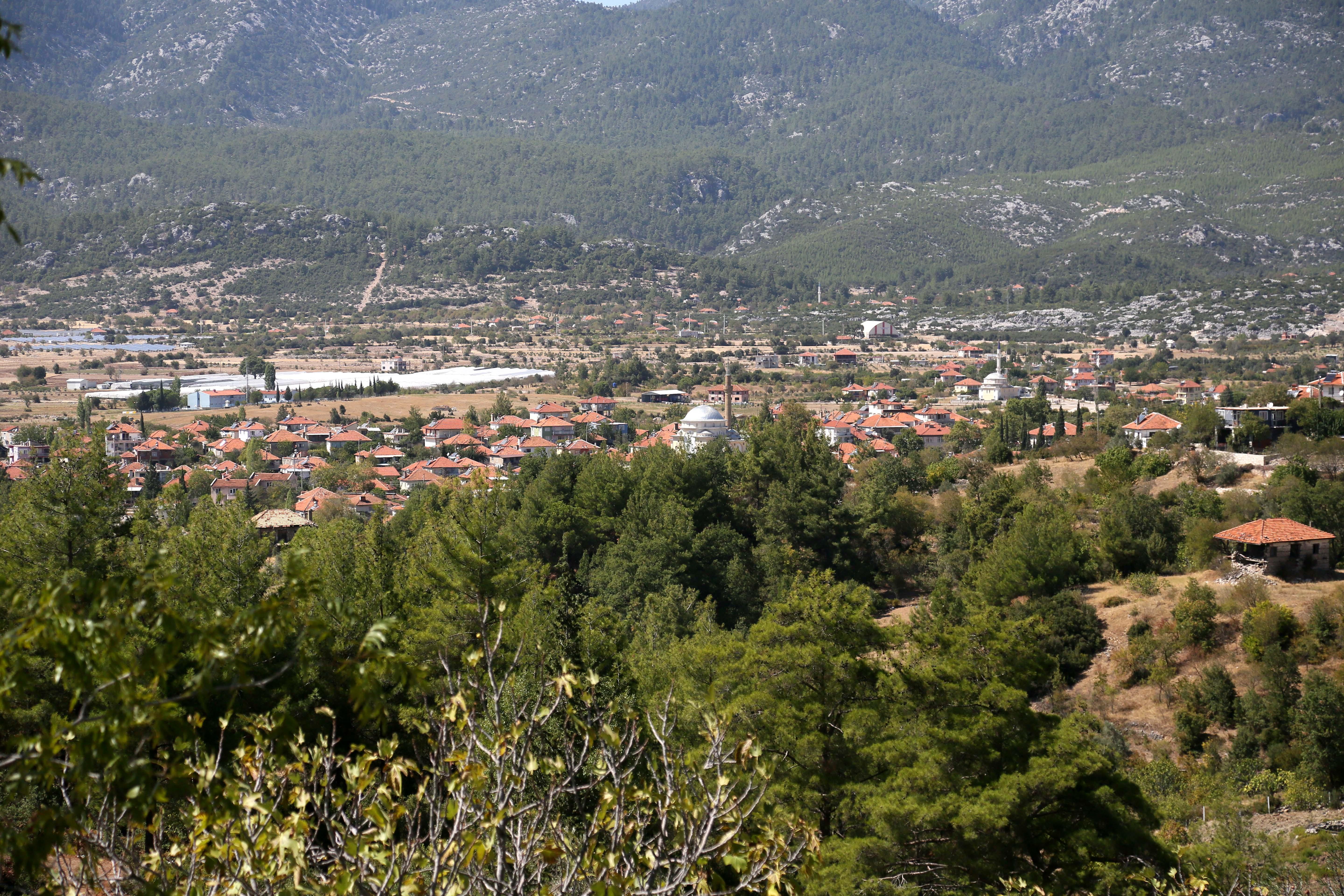 Bu beldeden Avrupaya 1 milyon çelenk ihraç ediliyor