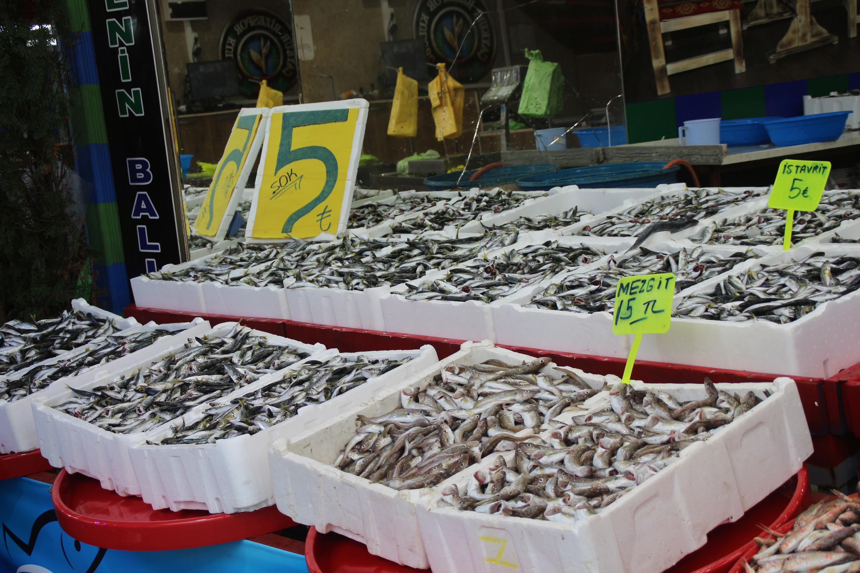 Rize’de kilo fiyatı 5 TL’ye düşen istavrit, kasayla satılıyor