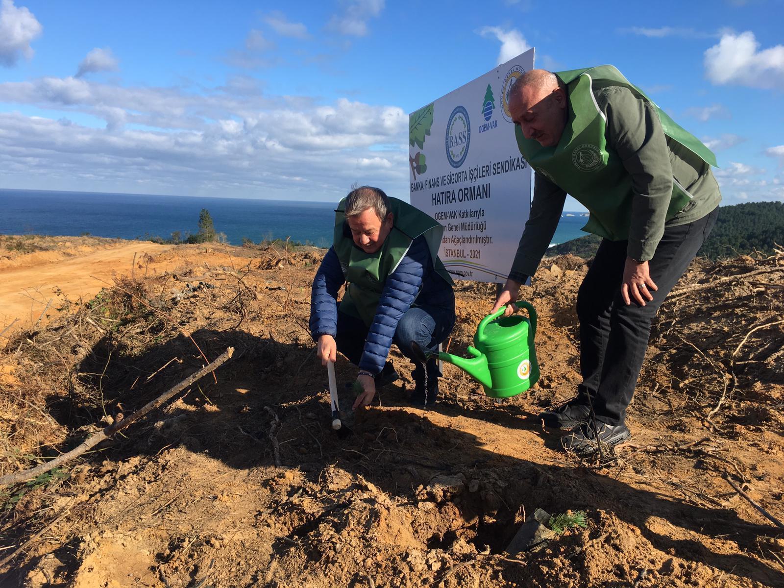 Şilede, eski maden ocağı alanında fidanlar dikildi