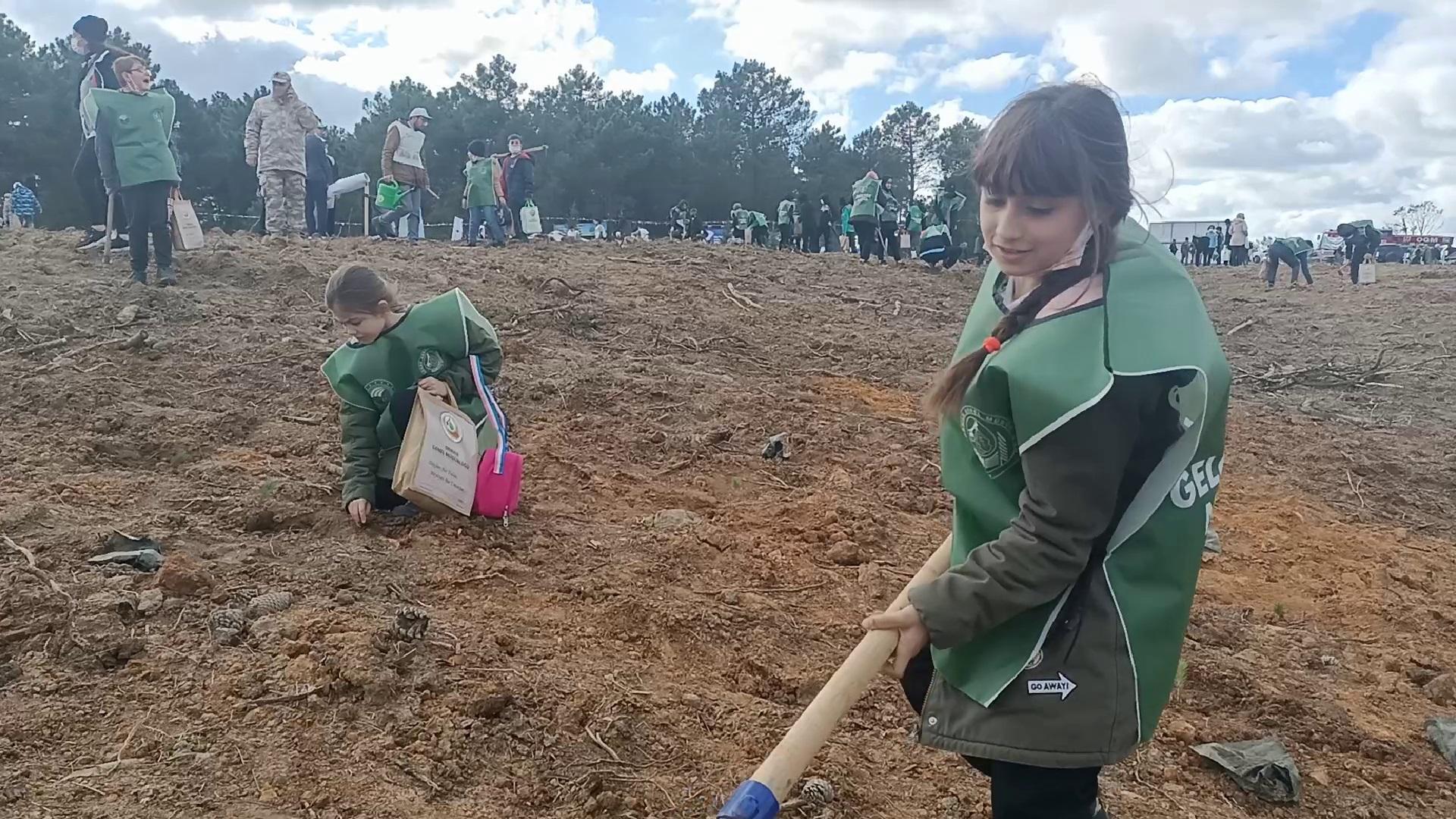Şilede, eski maden ocağı alanında fidanlar dikildi
