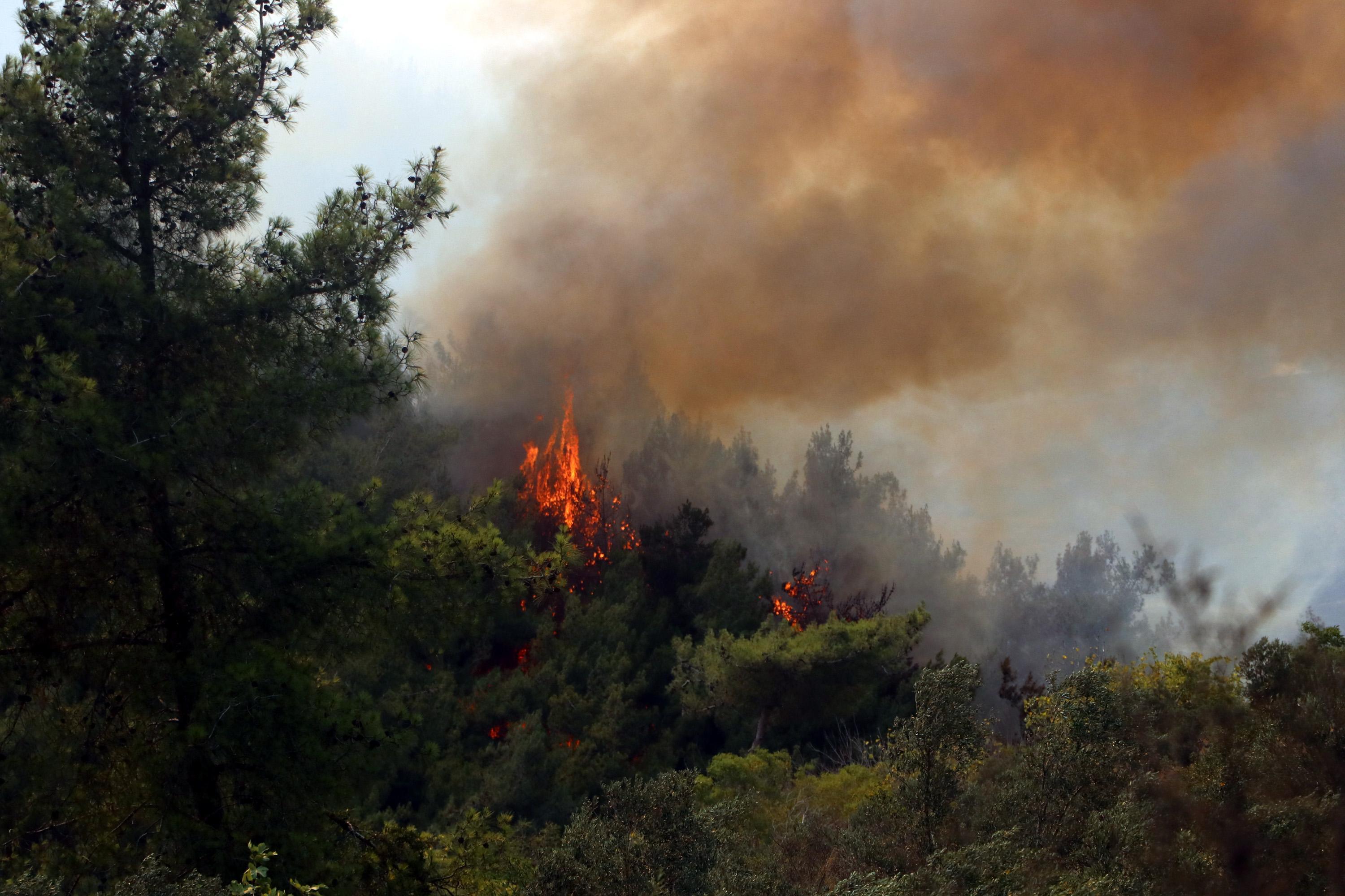YPG/PKKlı teröristten orman yangınlarıyla ilgili itiraf