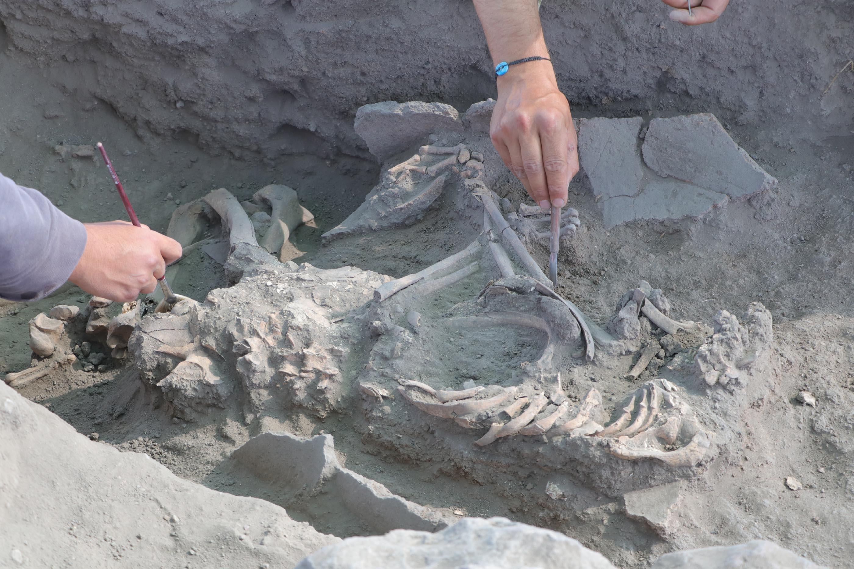 Eskişehir’de 5 bin yıllık küp mezarlarda çocuk iskeletleri bulundu